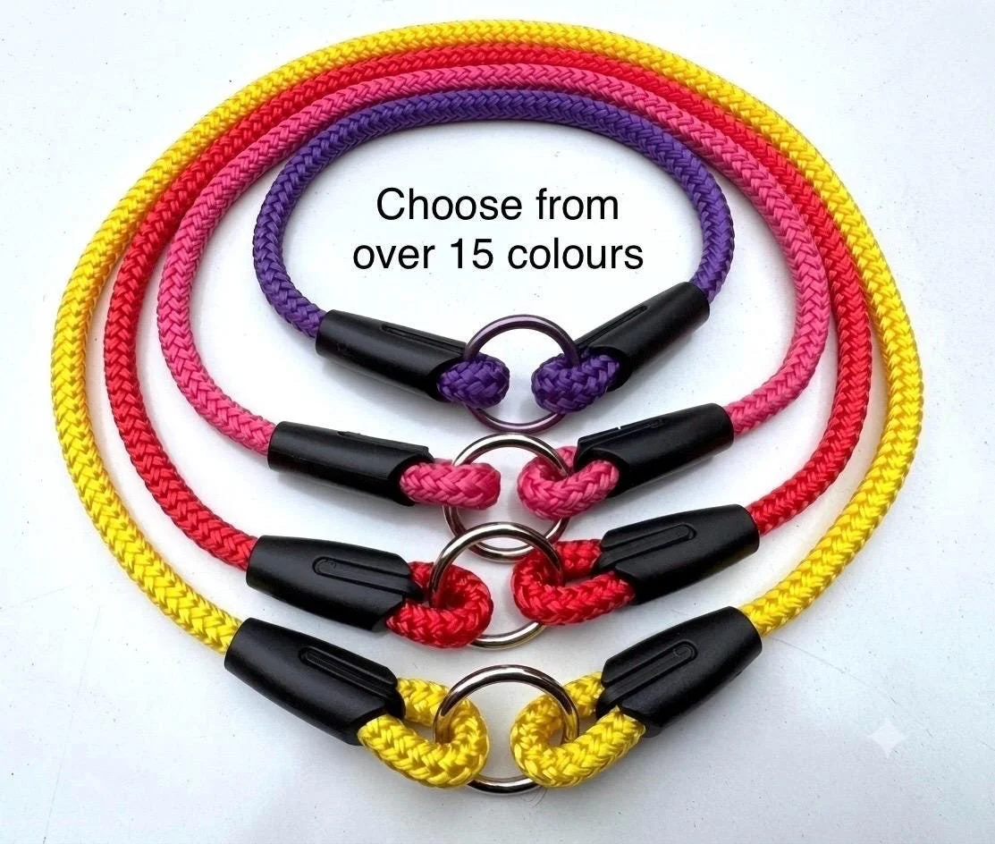 Braided Rope ID Tag Collar, Australian Made House Collars, Lightweight Comfortable Everyday Dog ID Collar - Choose your Rope Colour