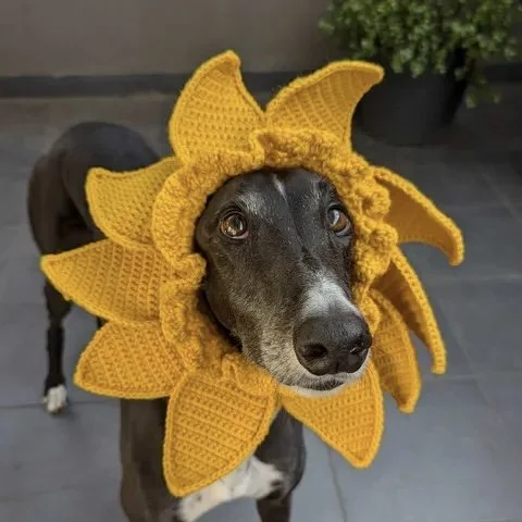Flower Dog Snoods, Handmade Novelty Dog Snoods - Various Flower Designs