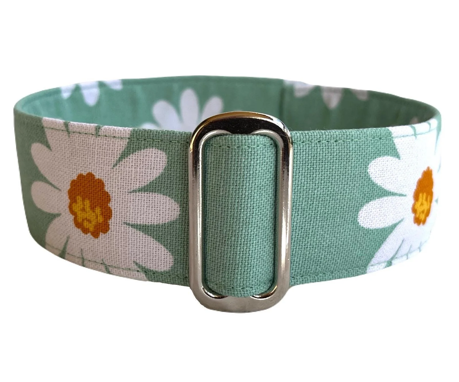 Daisy on Green - The Daisy Collection, Martingale Dog Collar, matching House Collar & Lead Sets available as listed