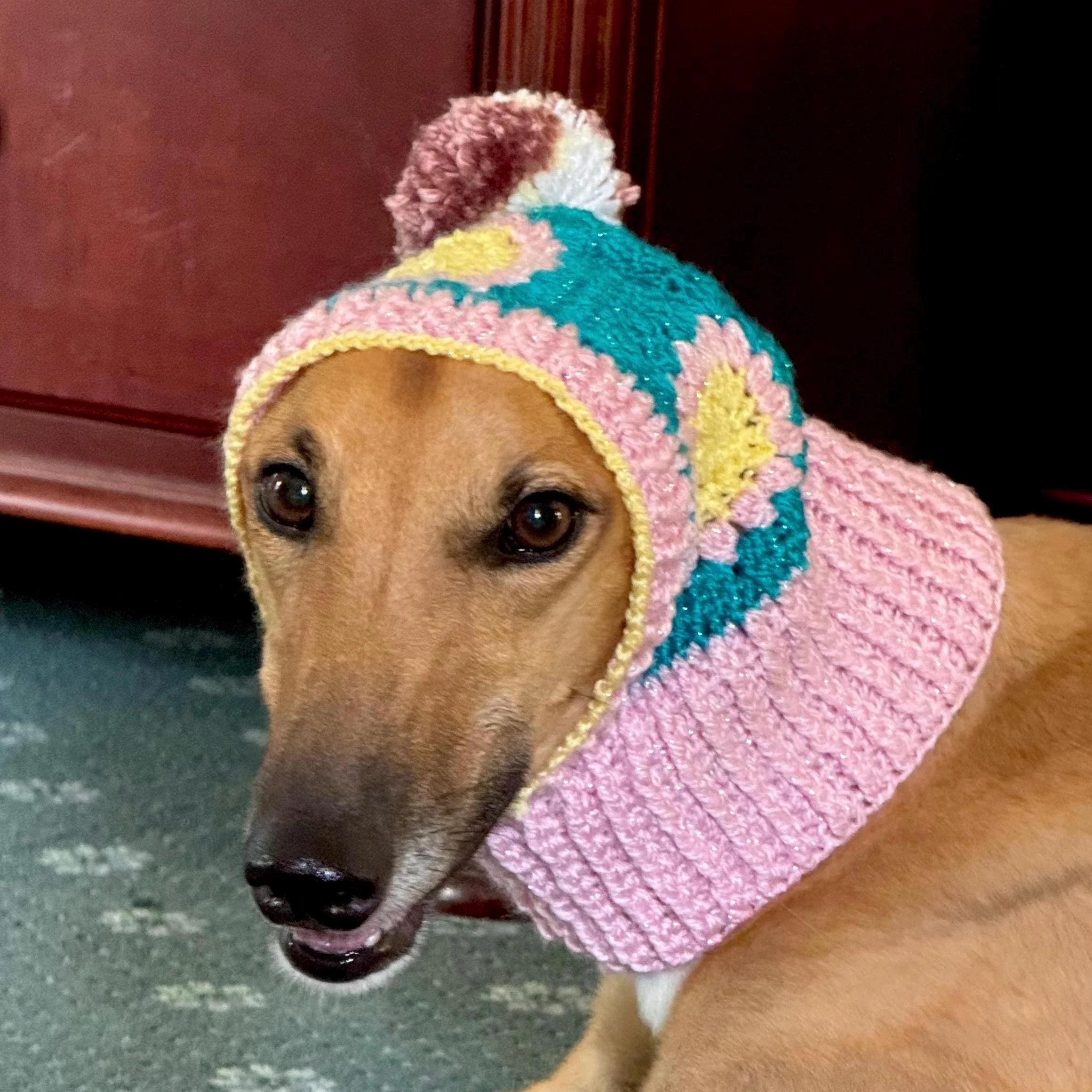 Pom Pom Dog Snoods, Handmade Crochet Novelty Snoods - Various Colours