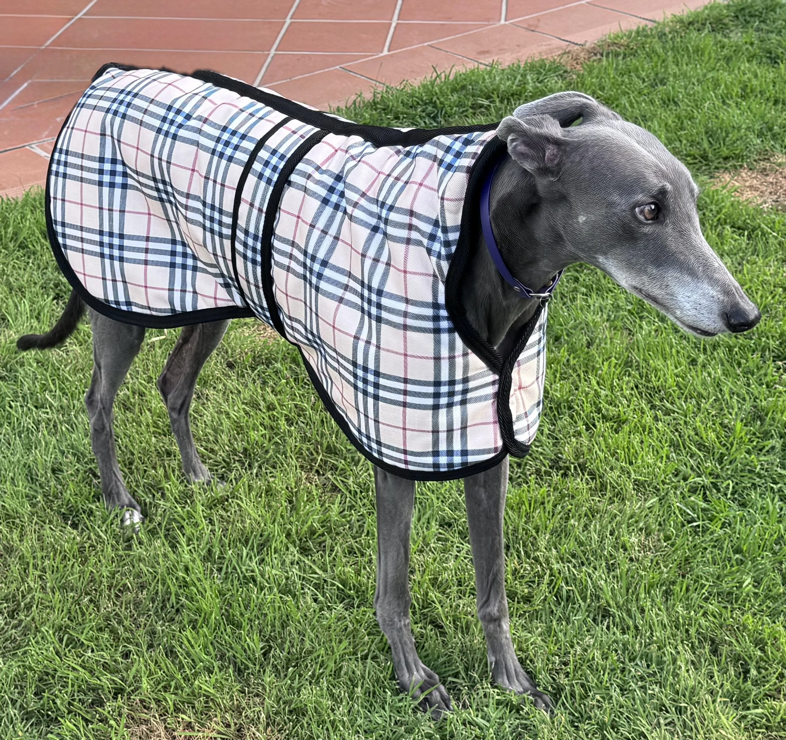 Burberry Check Tartan Greyhound Coat, Padded & Lined, Waterproof, Super Warm, Comfortable & Cozy