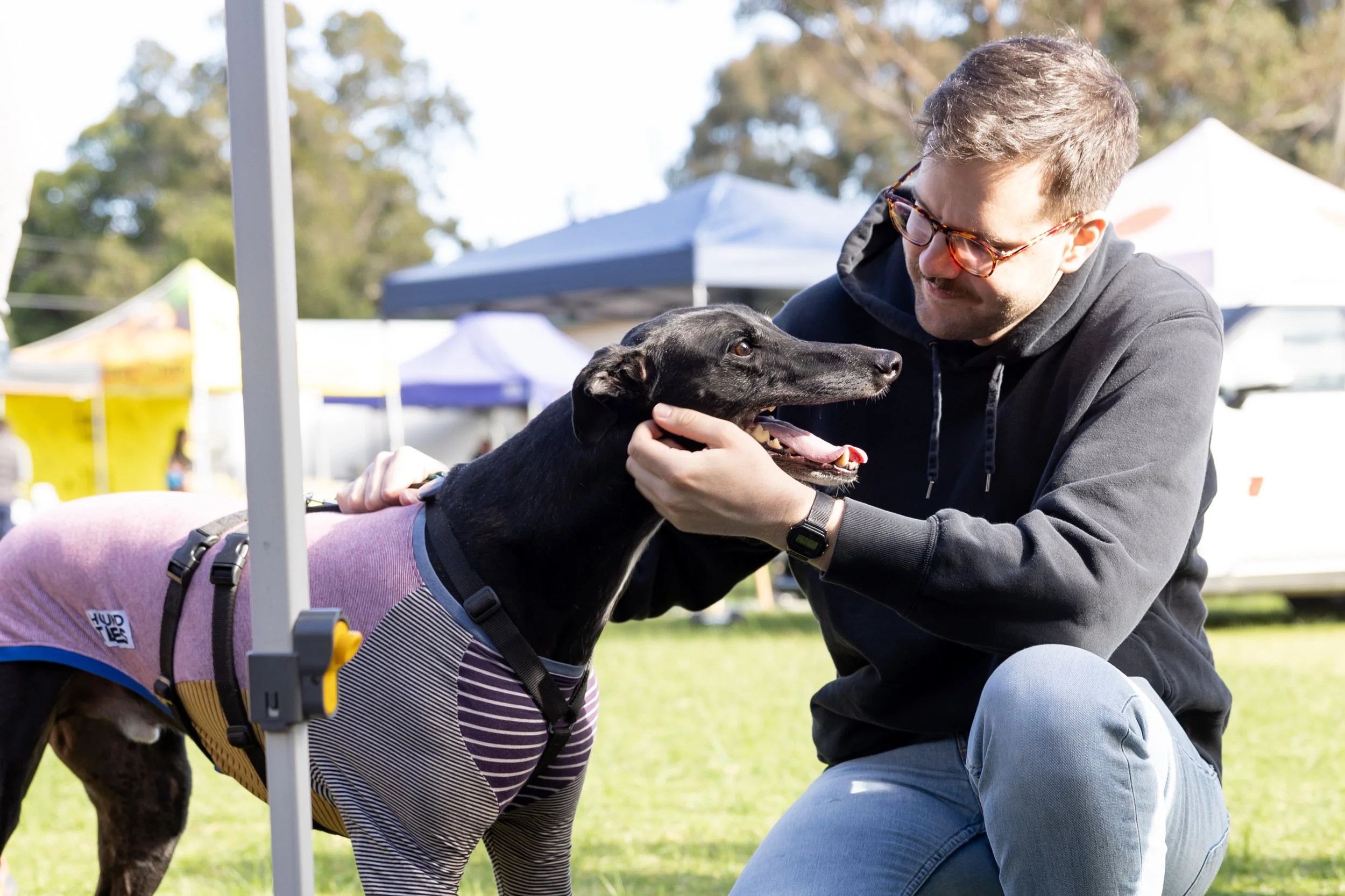 A man with glasses and a hoodie gently holding and kissing a black Greyhound dog wearing a pink harness and striped shirt outdoors at a park or fair with tents in the background.