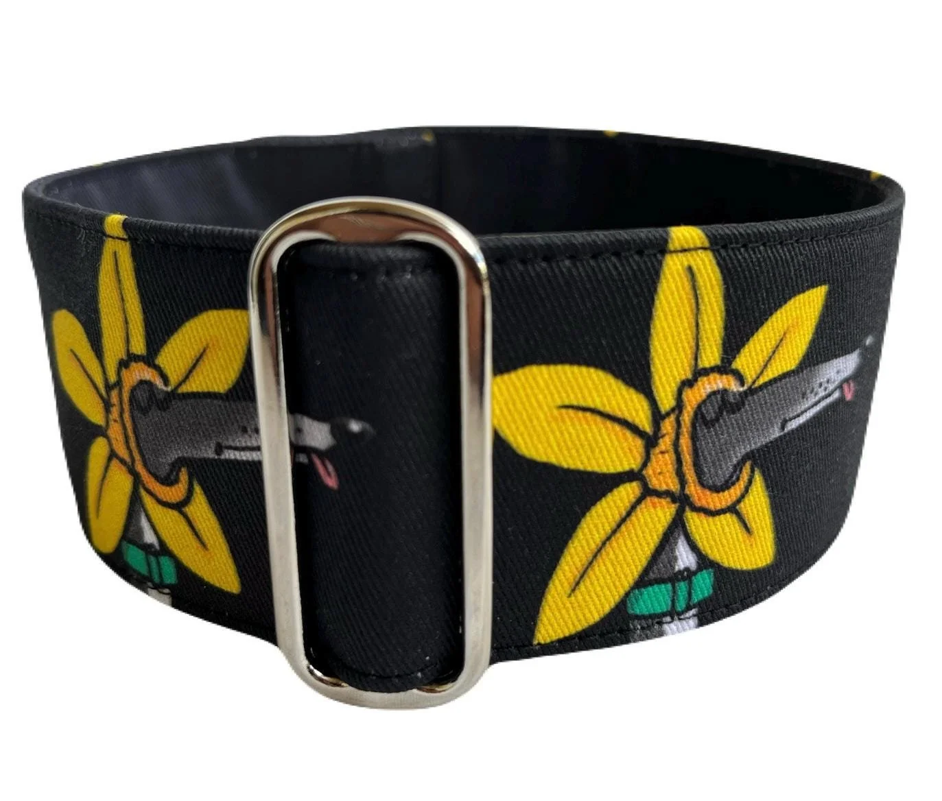 Derpodil - Skipworth Martingale Dog Collar, Matching House Collar & Leads available as listed.