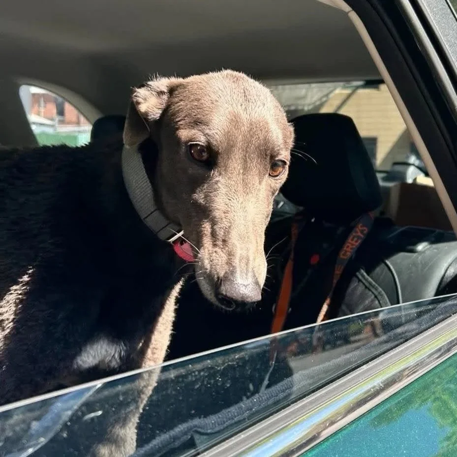Tilly May is coming soon! 
