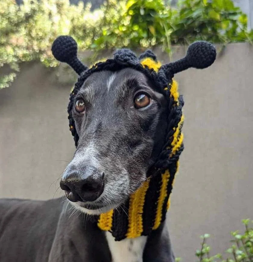Bees & Bugs  Dog Snoods, Handmade Novelty Snoods - Various Animal Designs