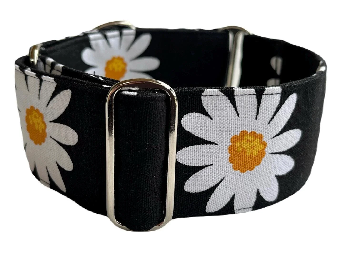 Daisy on Black - The Daisy Collection , Martingale Dog Collar, matching House Collar & Lead Sets available as listed