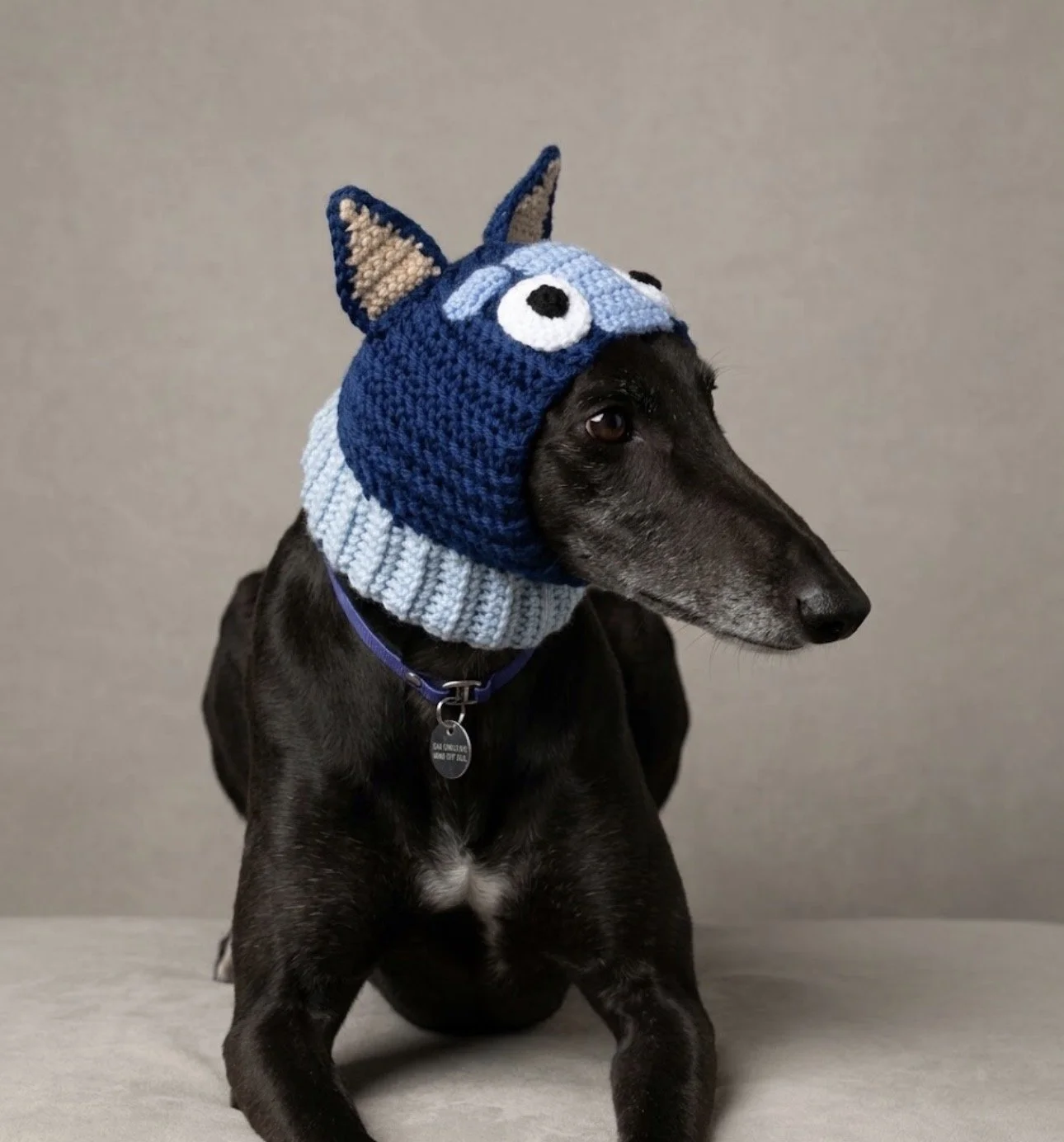 Bluey & Bingo Dog Snoods, Handmade Novelty Dog Snood or Neck Warmers