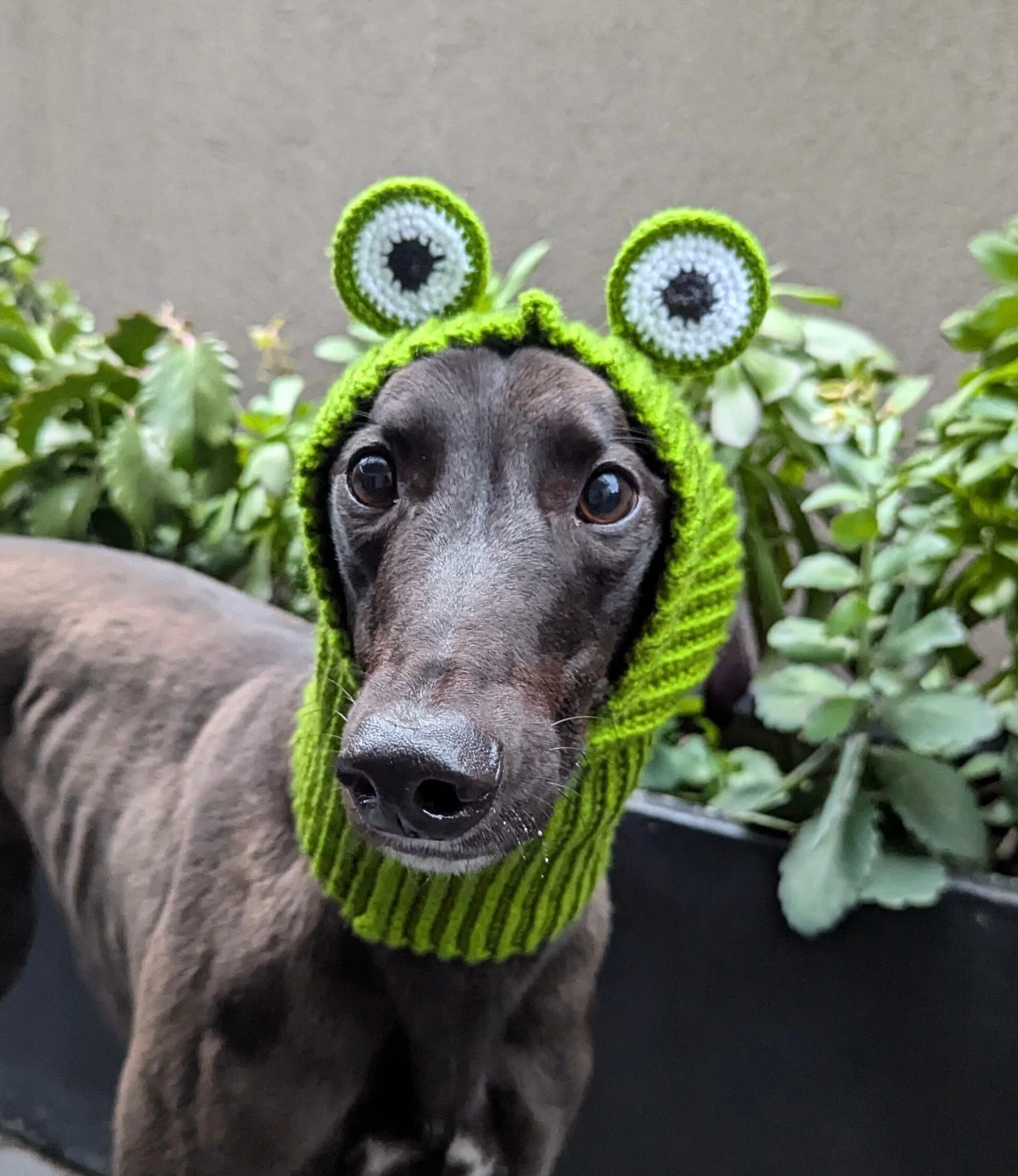 Animal Snoods, Handmade Novelty Dog Snoods - Various Animal Designs