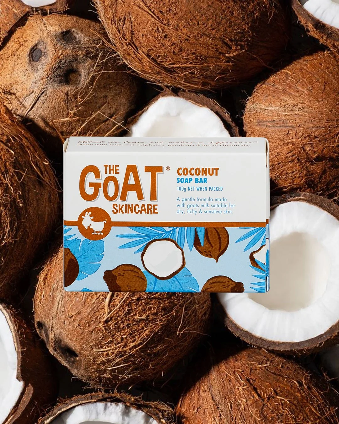Coconut-oncoconut.jpg