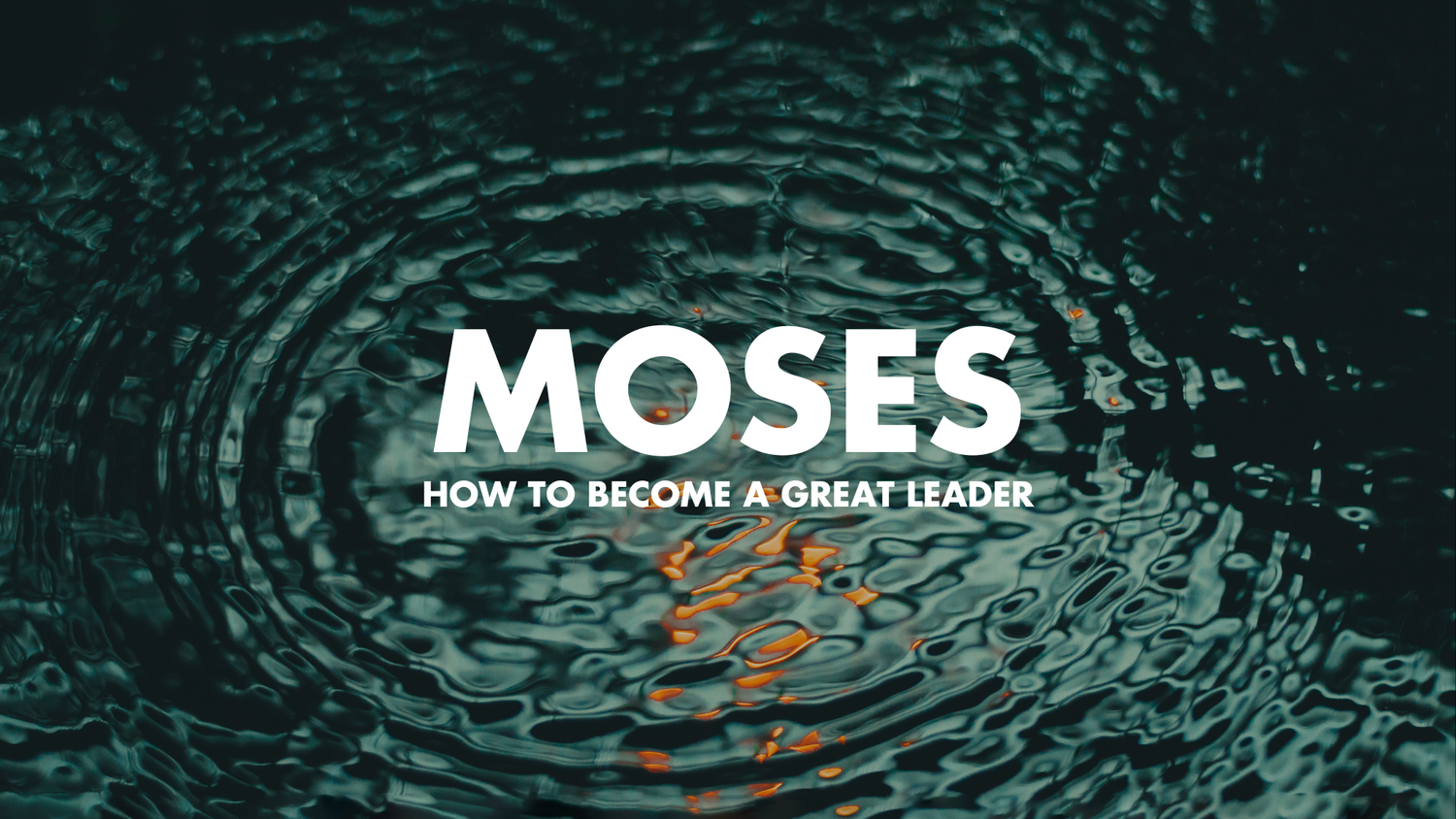Moses: Learn from our failures. episode artwork