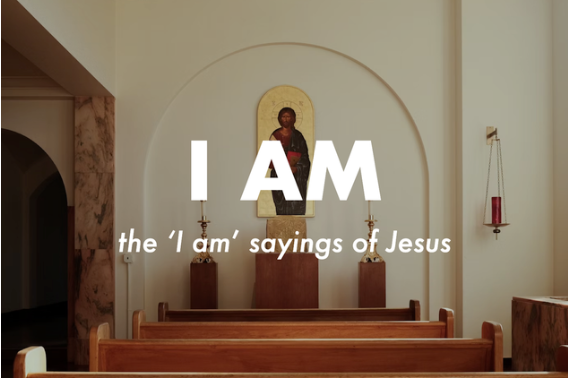 I AM: The light. episode artwork