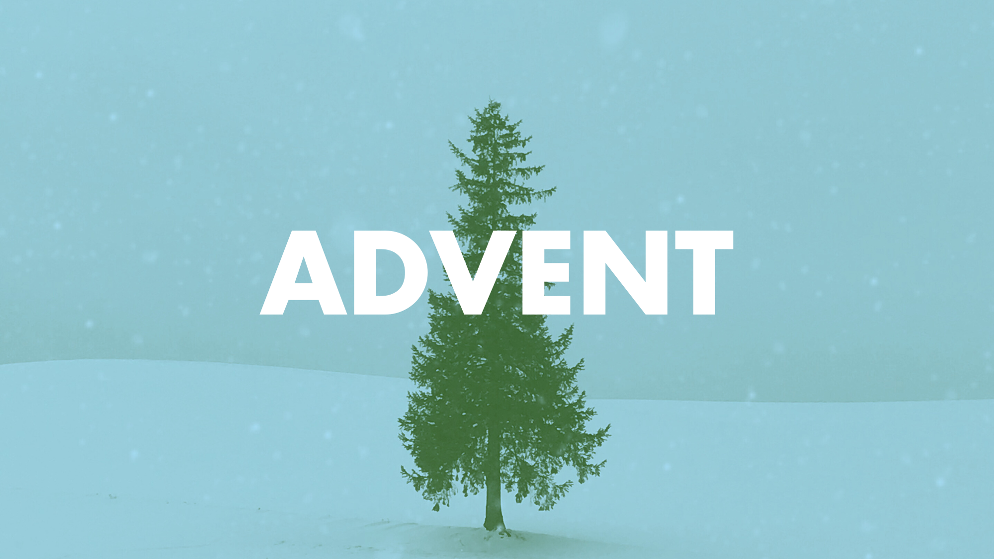 Advent 2024: Christmas Joy