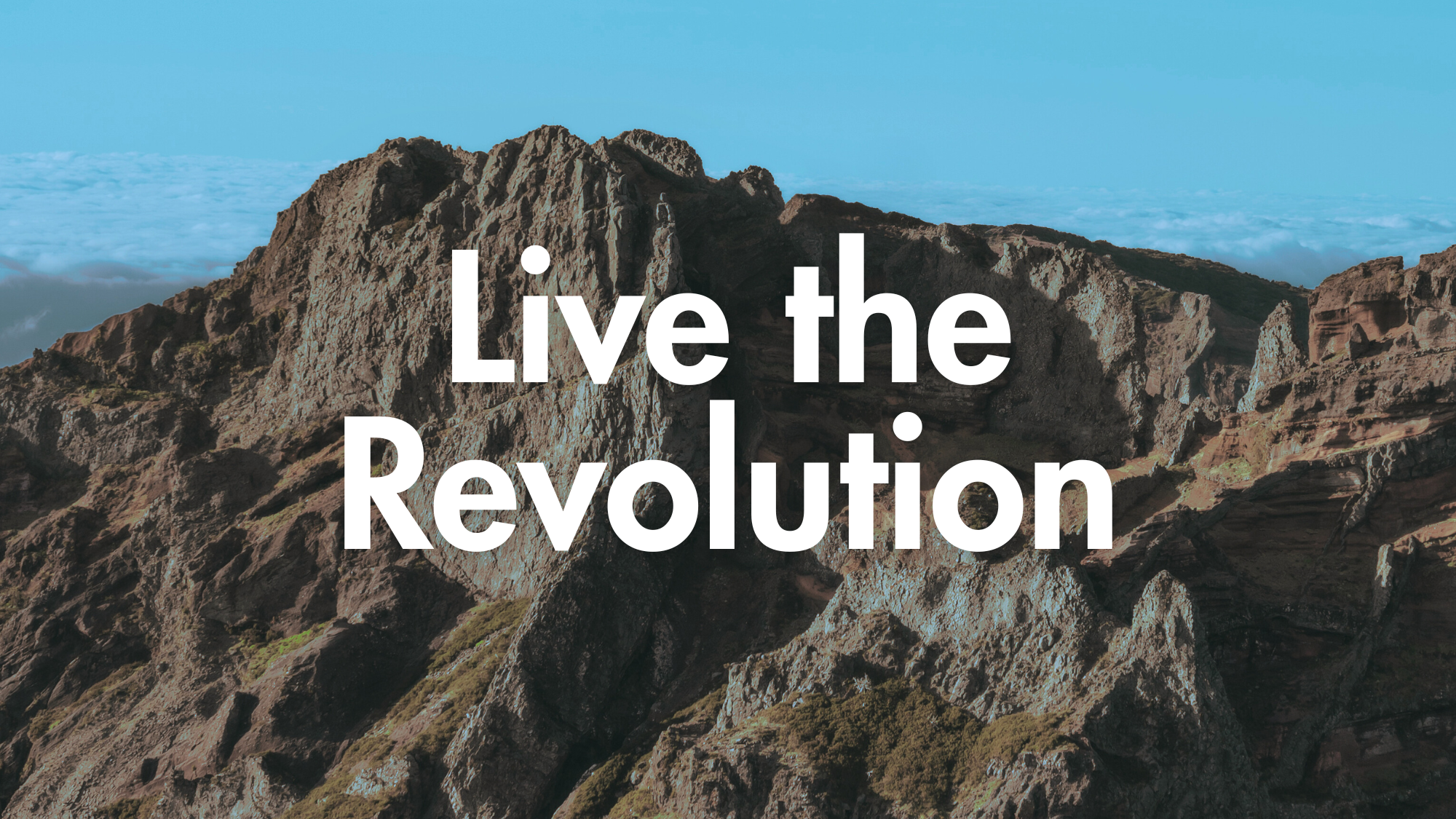 Live the revolution: blessedness.