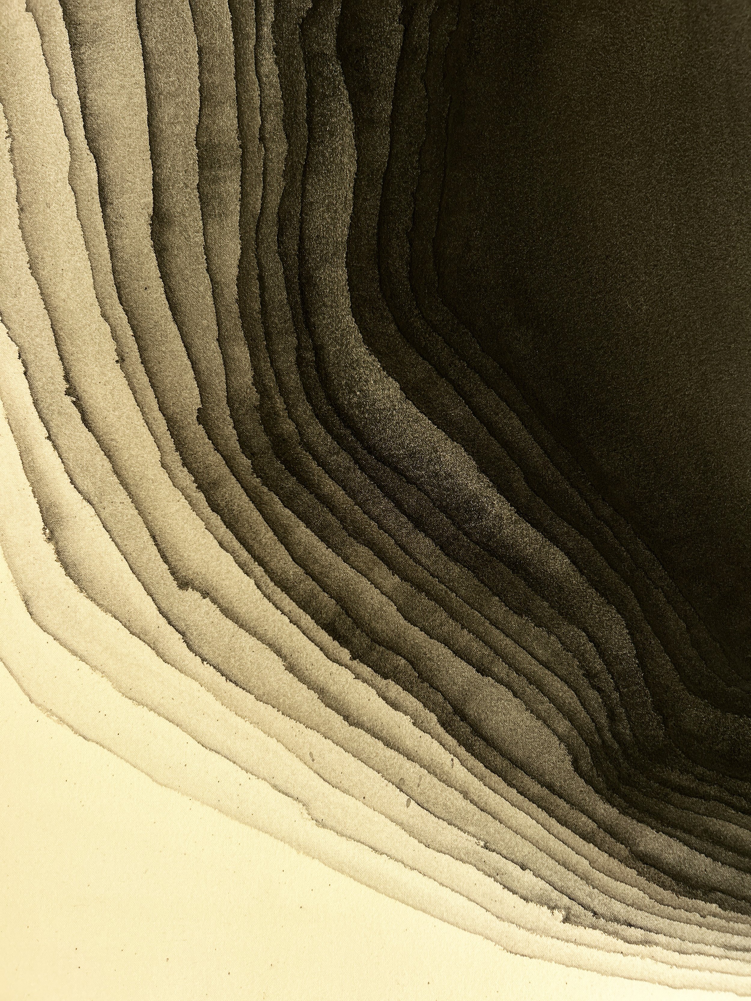 APC_0590.jpg
