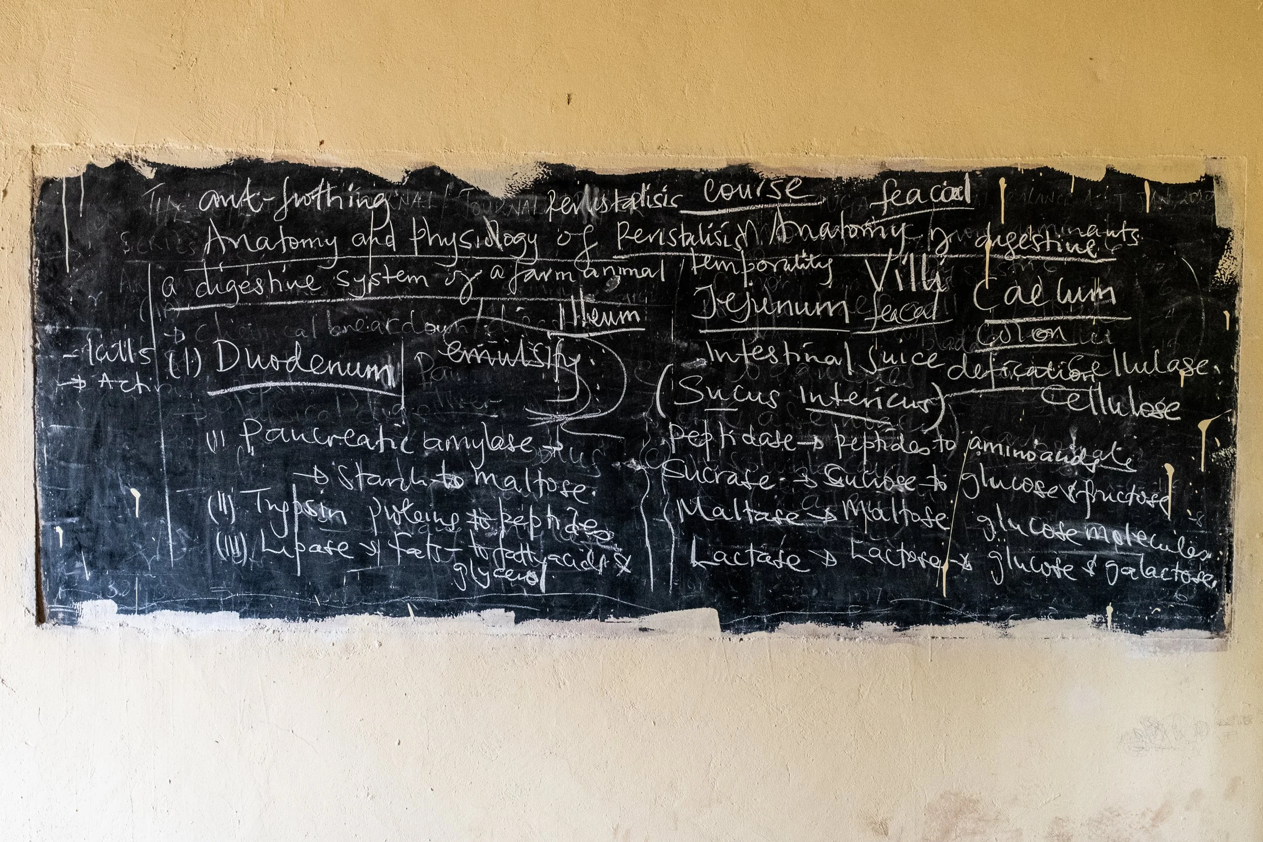 Uganda_2022_-537.jpg