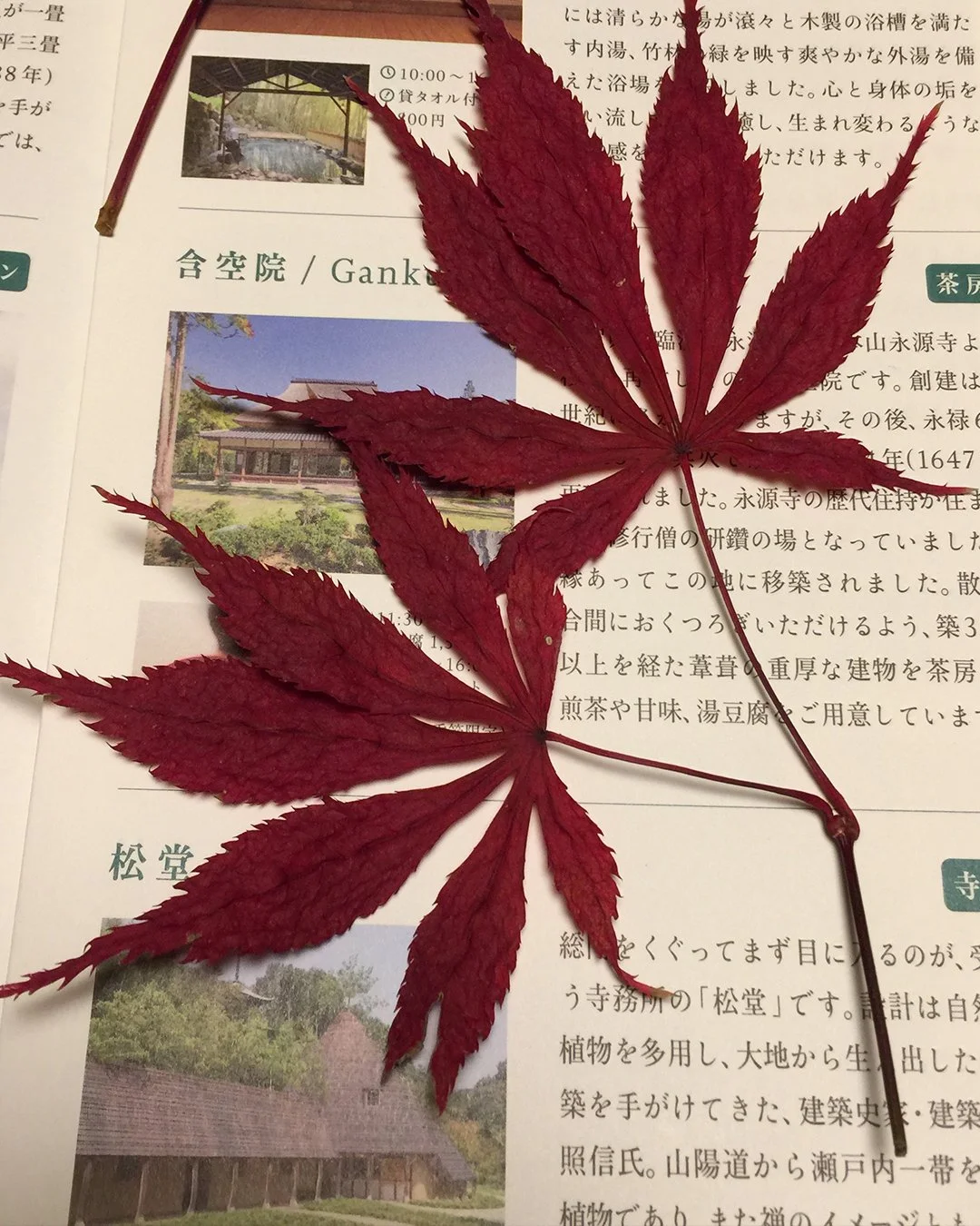 September in Britain is an interesting time- for many, it&rsquo;s the last chance to go away on holiday before the school year starts. In Britain, we are very much blessed with a treasure trove of beautiful places to visit during the holidays. 

With