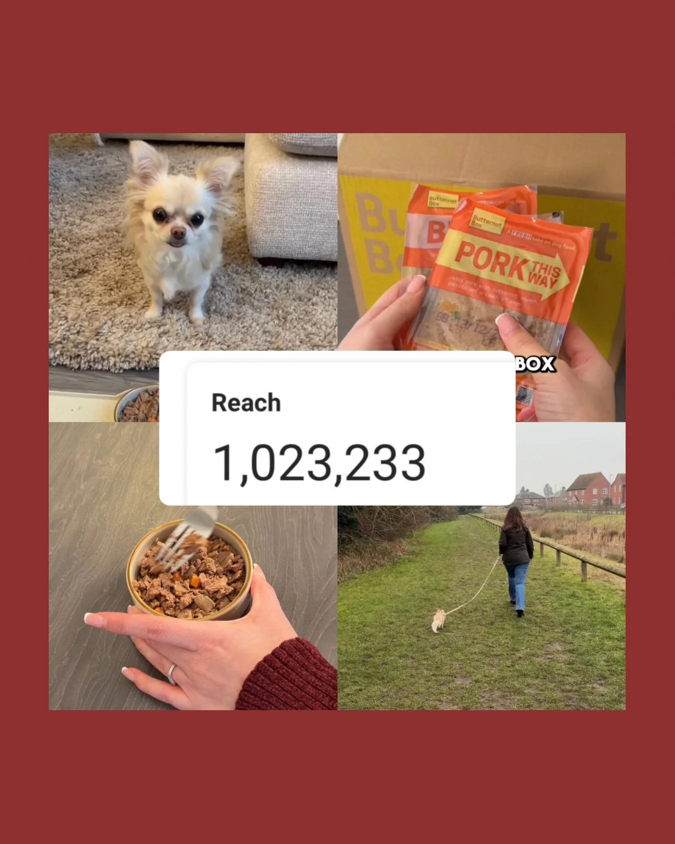 Celebrating over 1 MILLION reach on my Butternut Box social media ad! 📦💛 

This was a UGC-style video I shot and edited for them; simple concept, real footage, no big production crew&hellip; just thoughtful storytelling and strong hooks.

And this 
