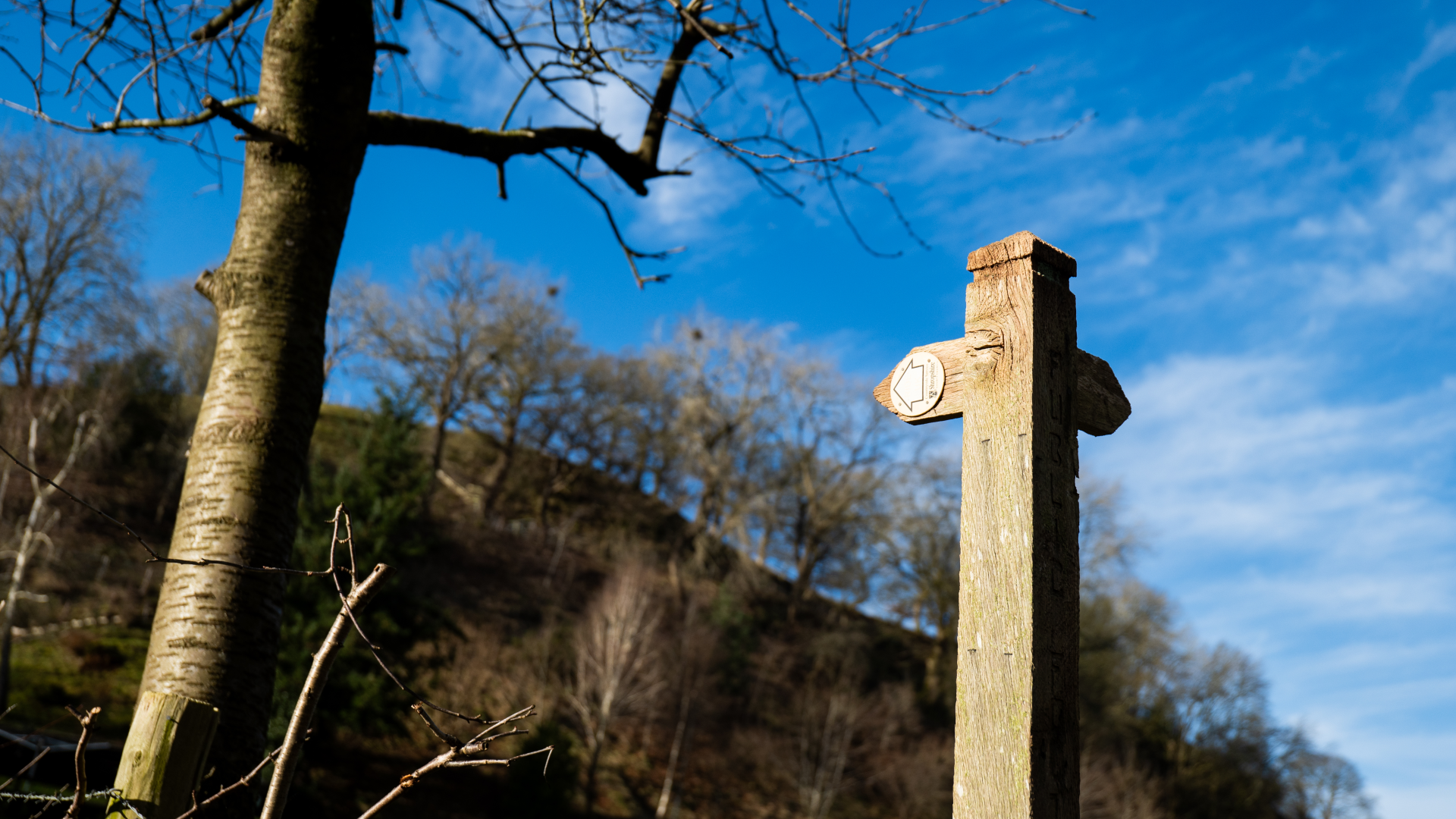 Exploring Family-Friendly Destinations in South Shropshire