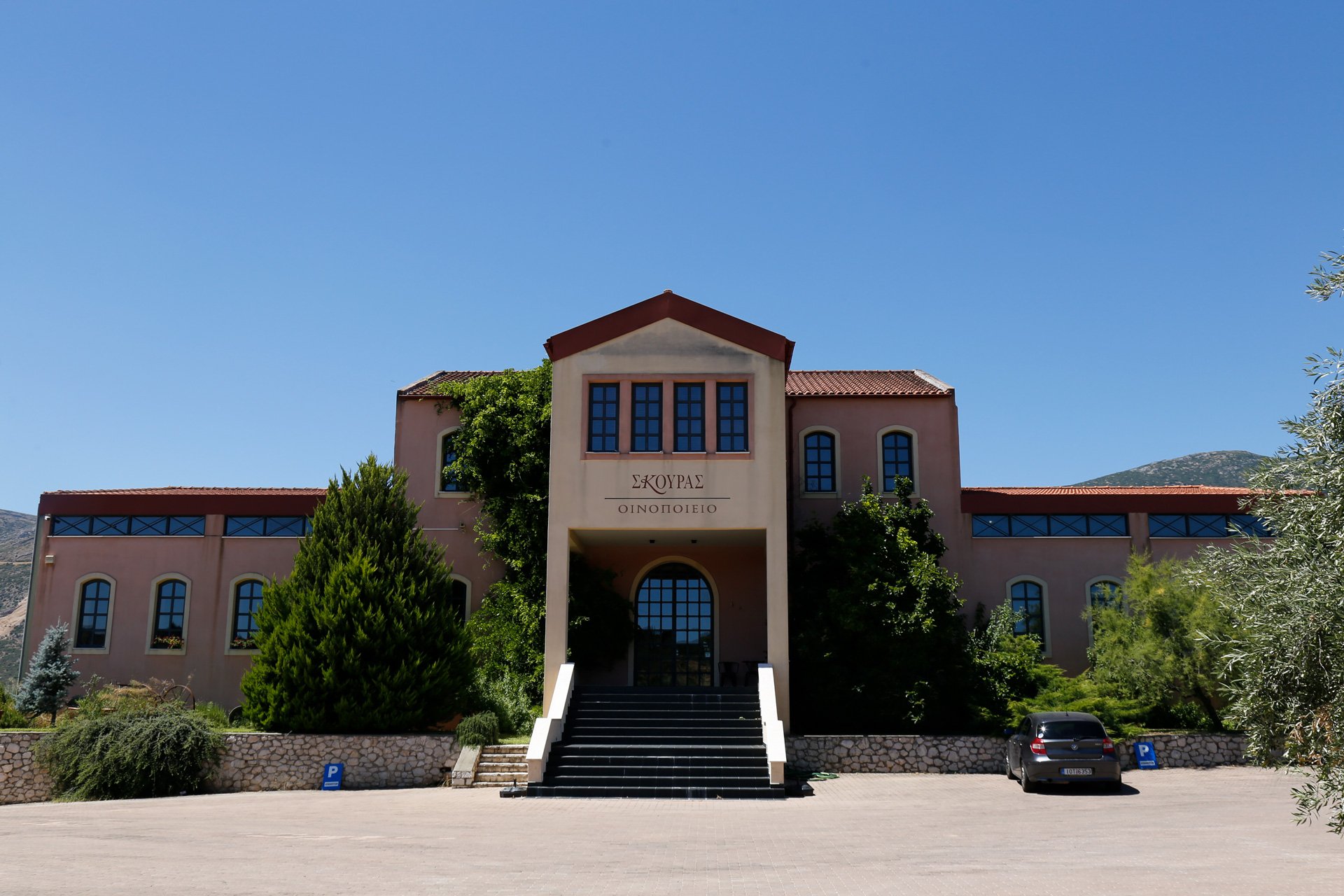 Skouras1.JPG
