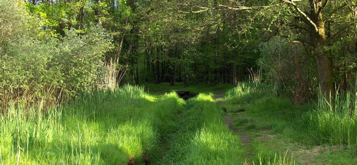 test-3-1210x560.jpg