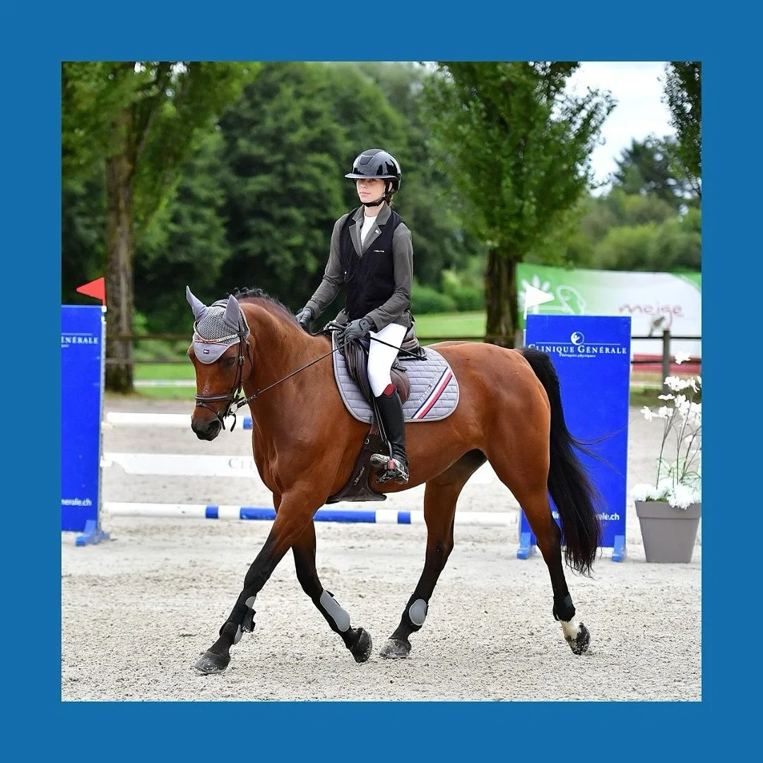 ✨ Participation aux Concours Hippique de la Sauveni&egrave;re ✨
📍 Poliez-le-Grand
📅 Organis&eacute; par: @club_sauveniere

Cavali&egrave;re: @Meline_ge
Cheval: Dyna de la Gr&eacute;e

@Meline_ge a particip&eacute; aux &eacute;preuves de libre au st