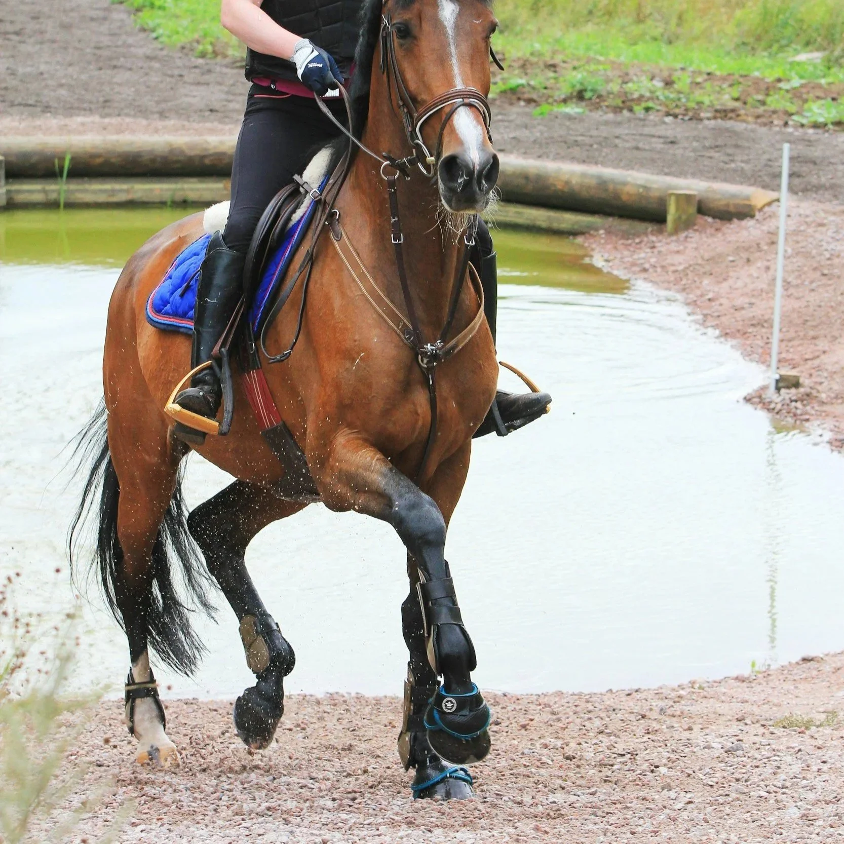 Initiation Cross à IENA