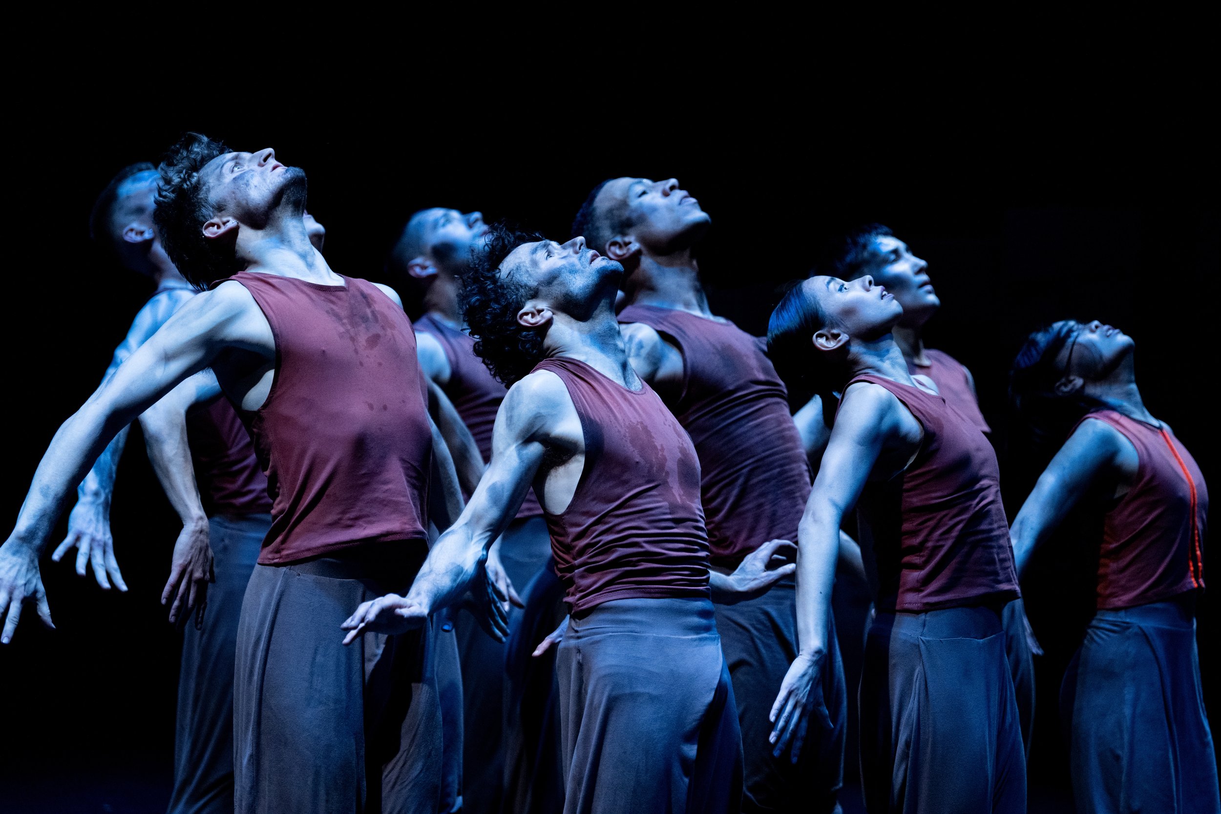 AKC_BTS_3904 (1) copy.jpg