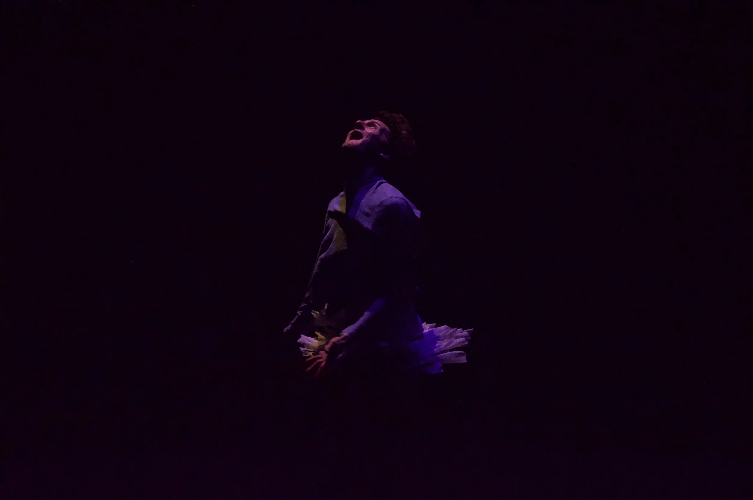 Favourite 4 (2).jpeg