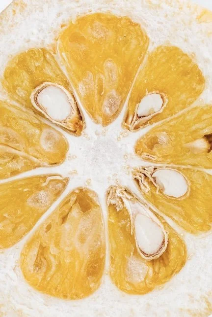 When Food Is Not Just Food: Neurodivergence &amp; the Nervous System