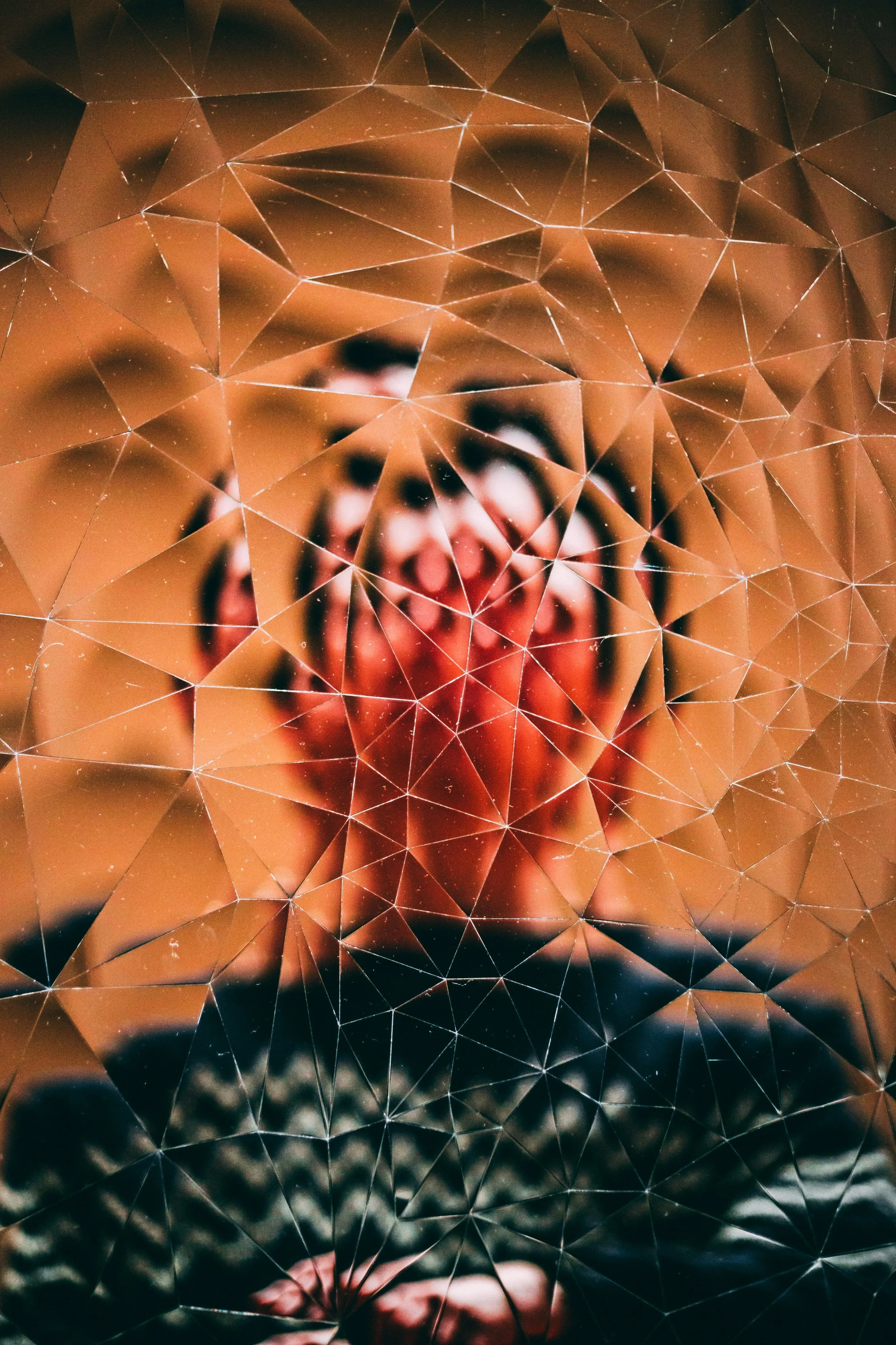 Communication and the Double Empathy Problem: When Different Nervous Systems Meet