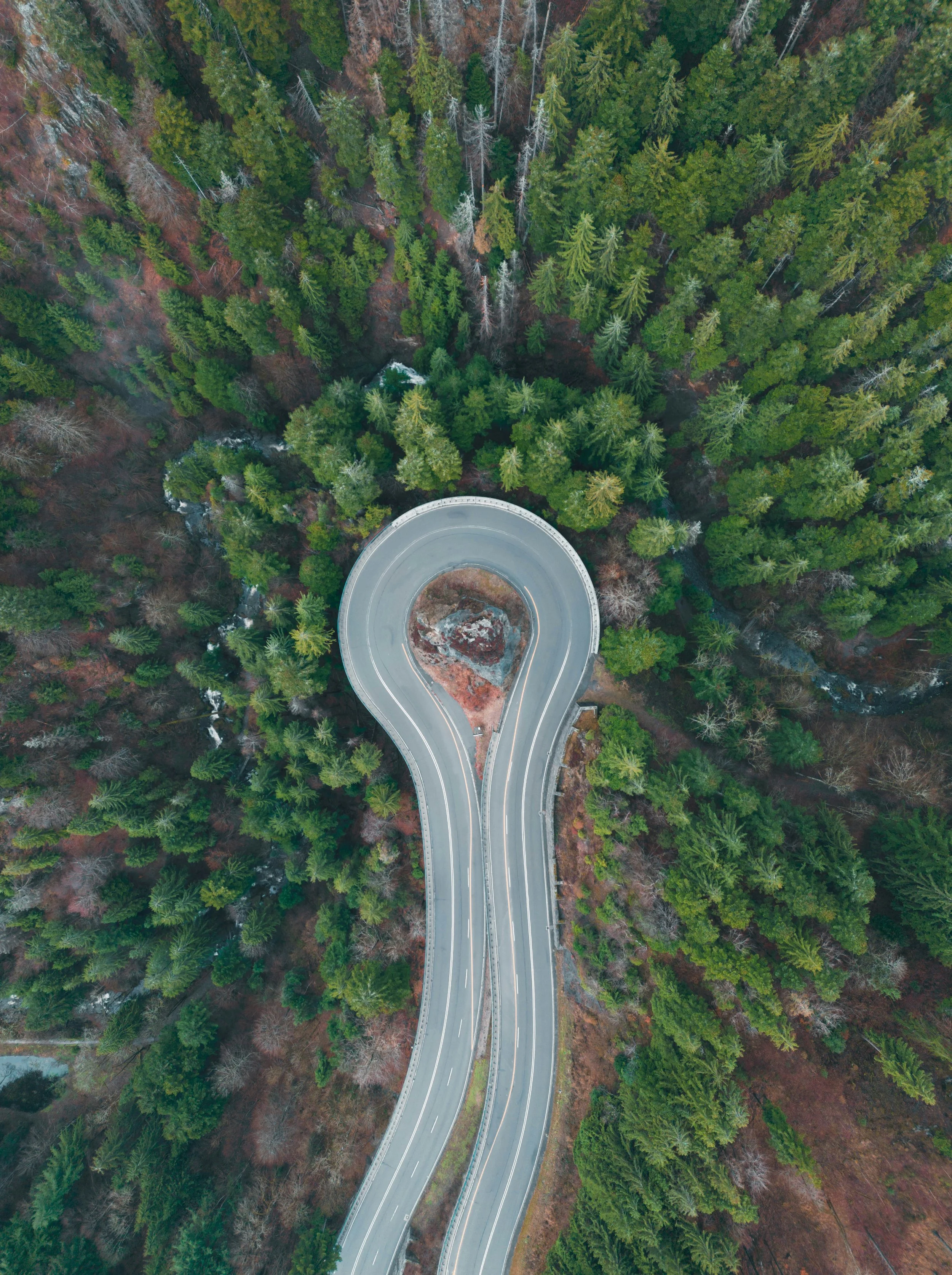 Noticing, Naming, and Moving On.  A neurodivergent-affirming approach to mindfulness in real life