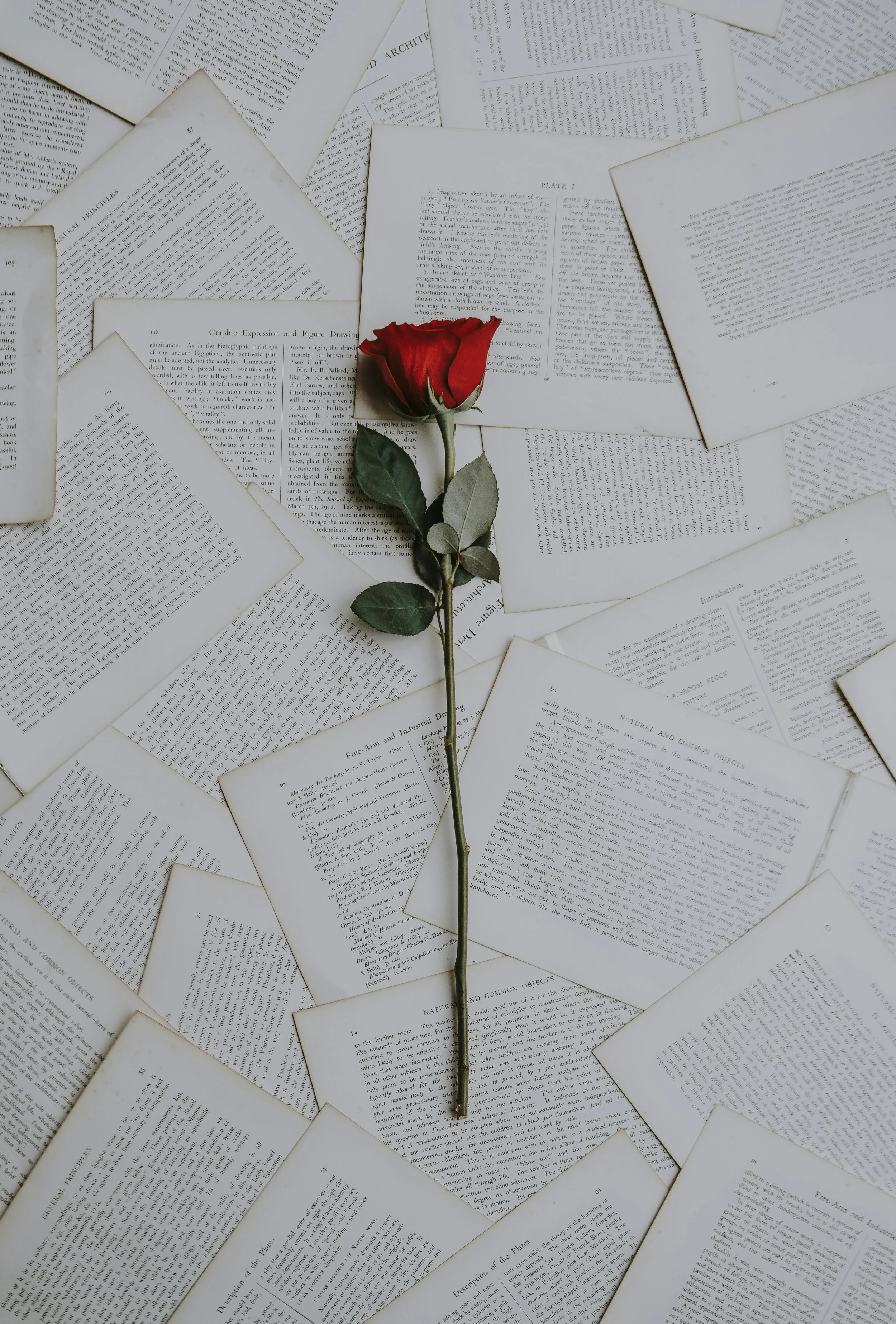 Autism and Love: The Problem of Being Legible
