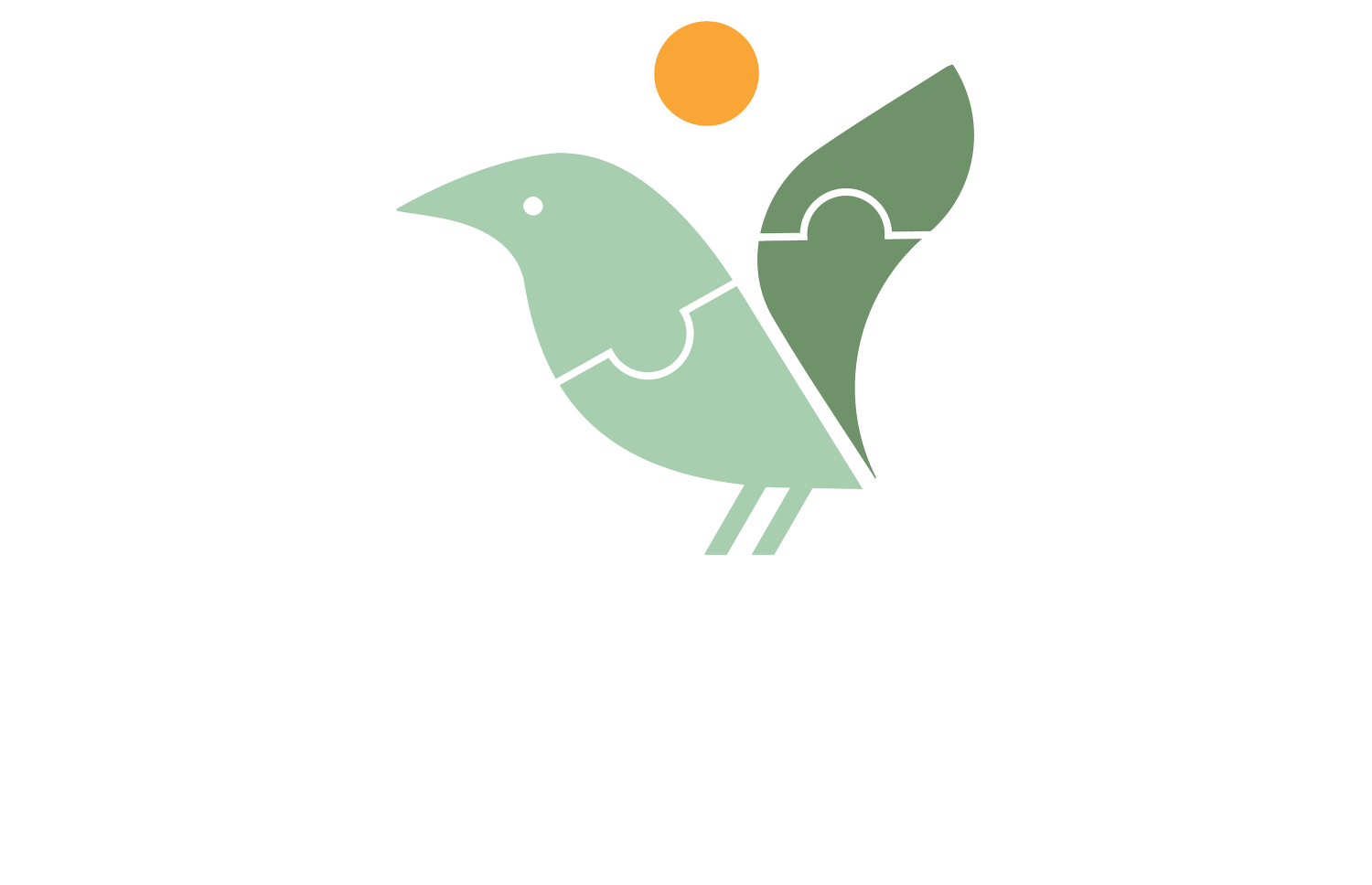 InFocus