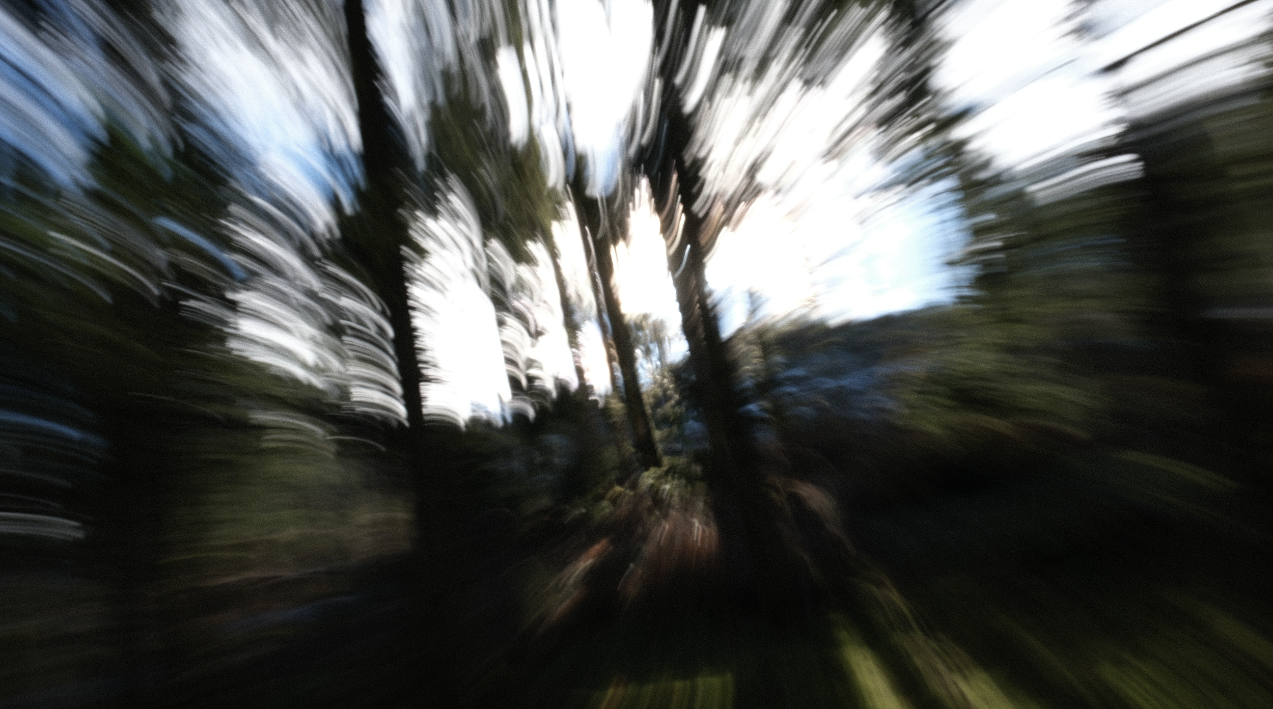 Capture d’écran 2026-01-13 à 11.48.47.png