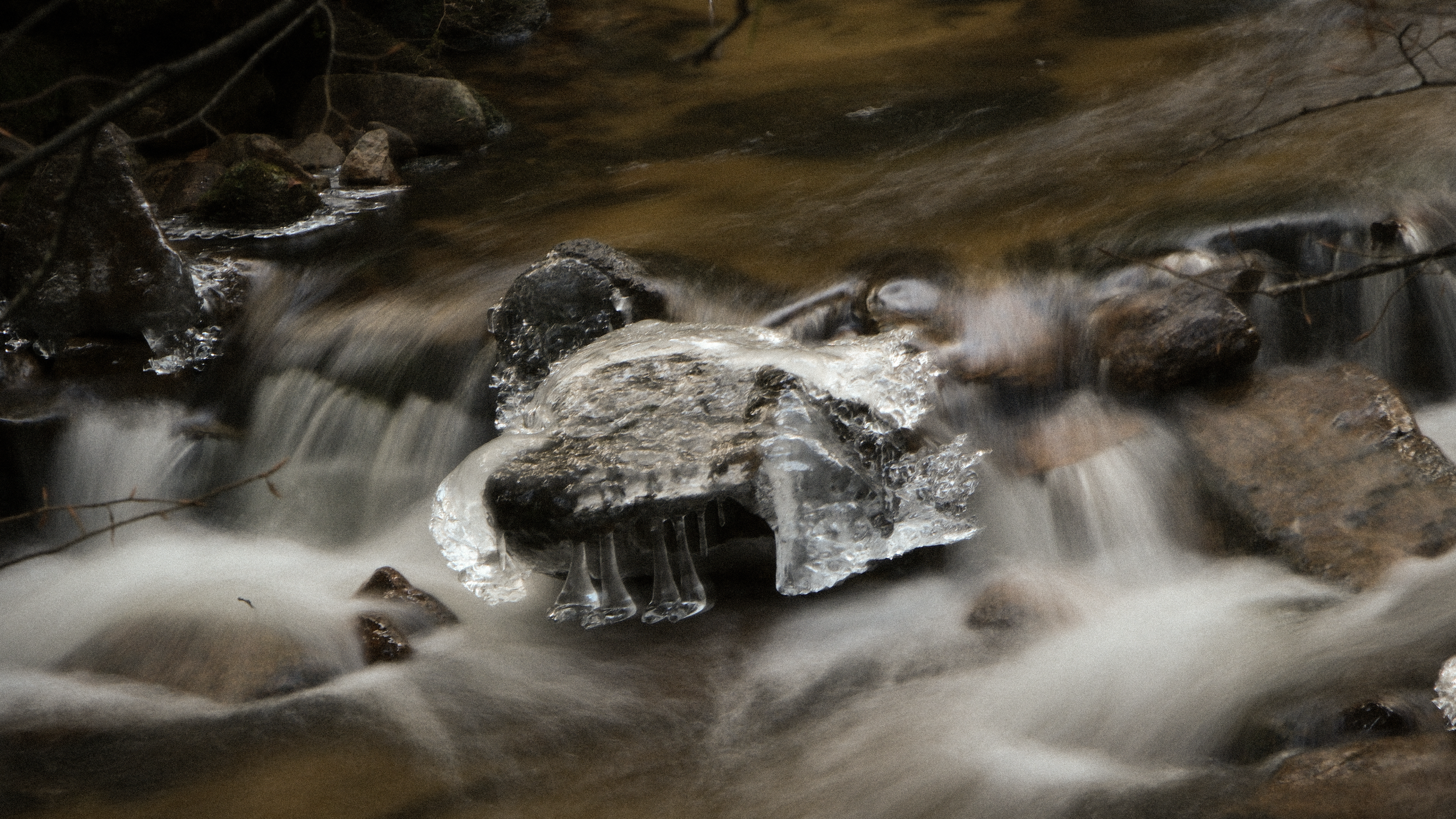 Capture d’écran 2026-01-13 à 11.47.58.png