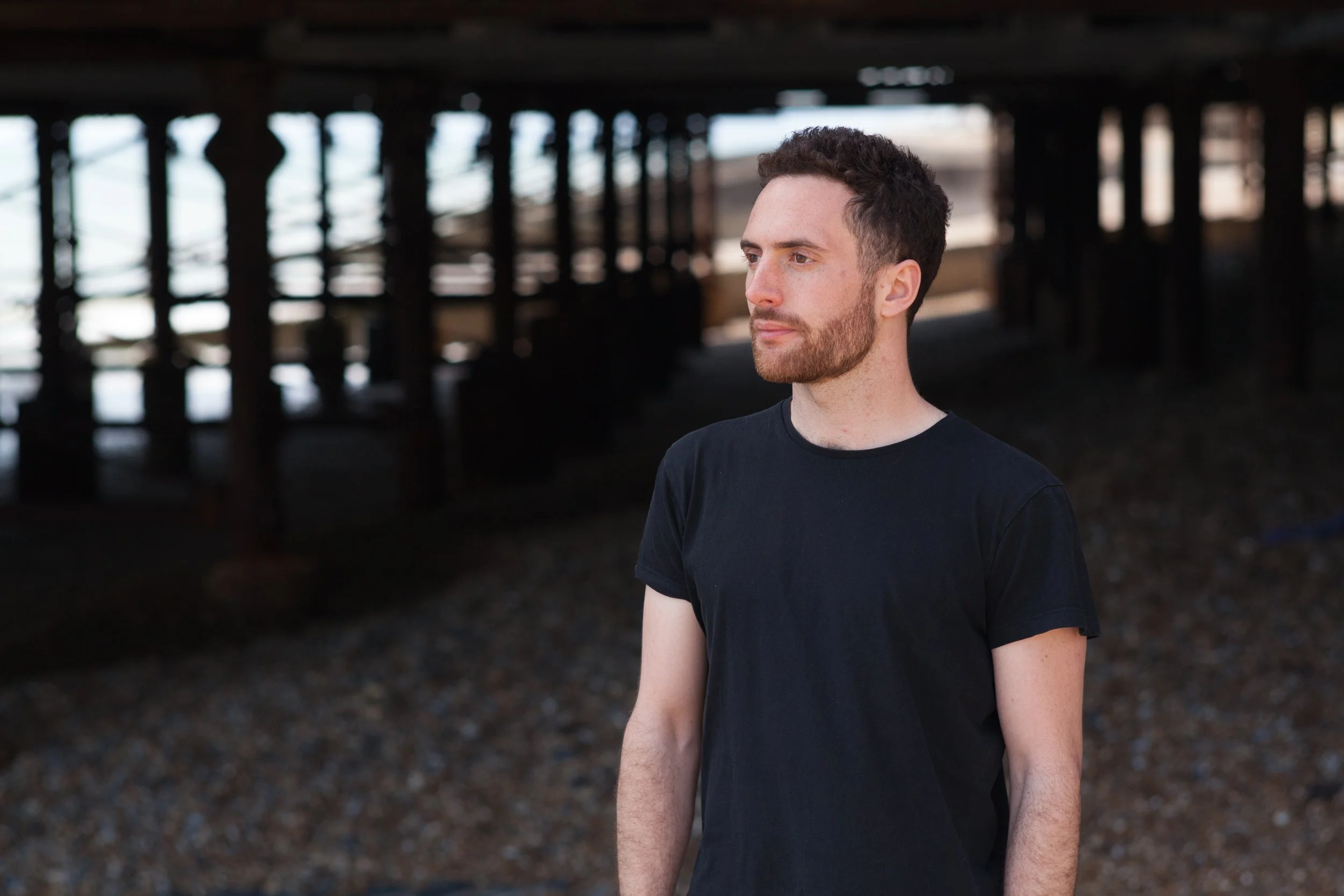 Perestroika Promo 1.jpg