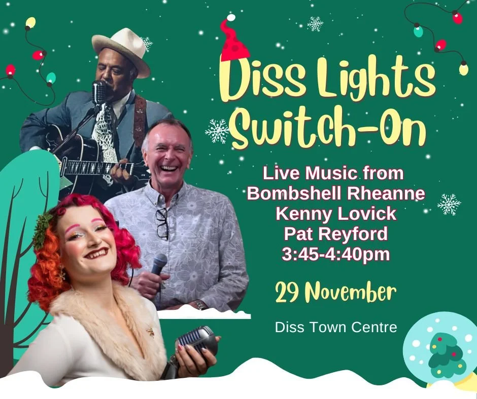 Diss Christmas Lights Switch-On