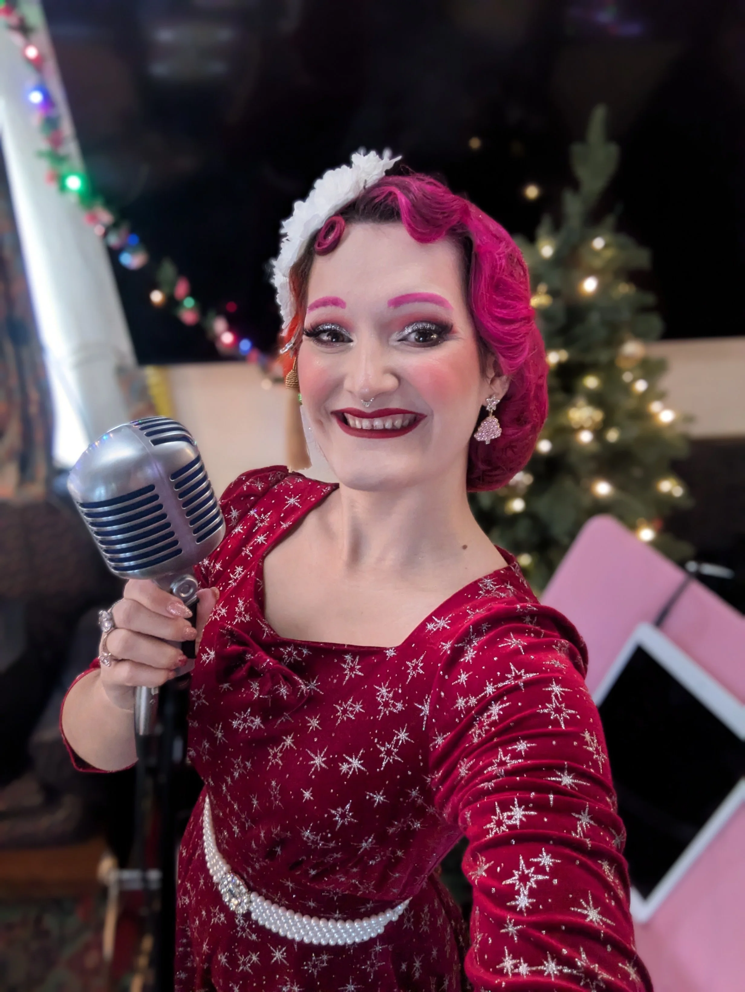 The Dove Inn Poringland Christmas Craft Fair, November 2025