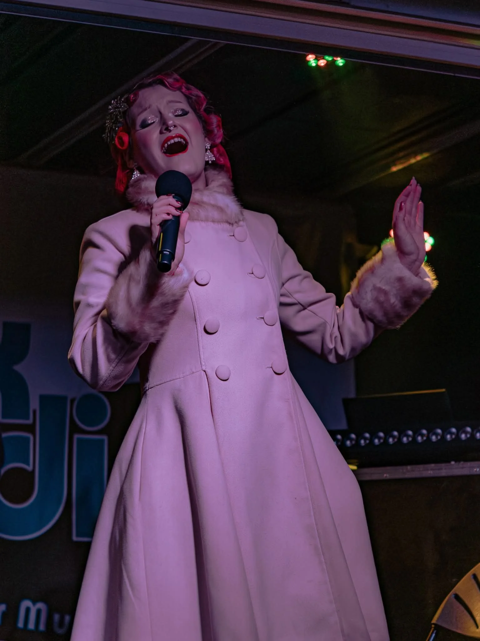 Diss Christmas Lights Switch-On, November 2025 (Stuart Peach Photography)