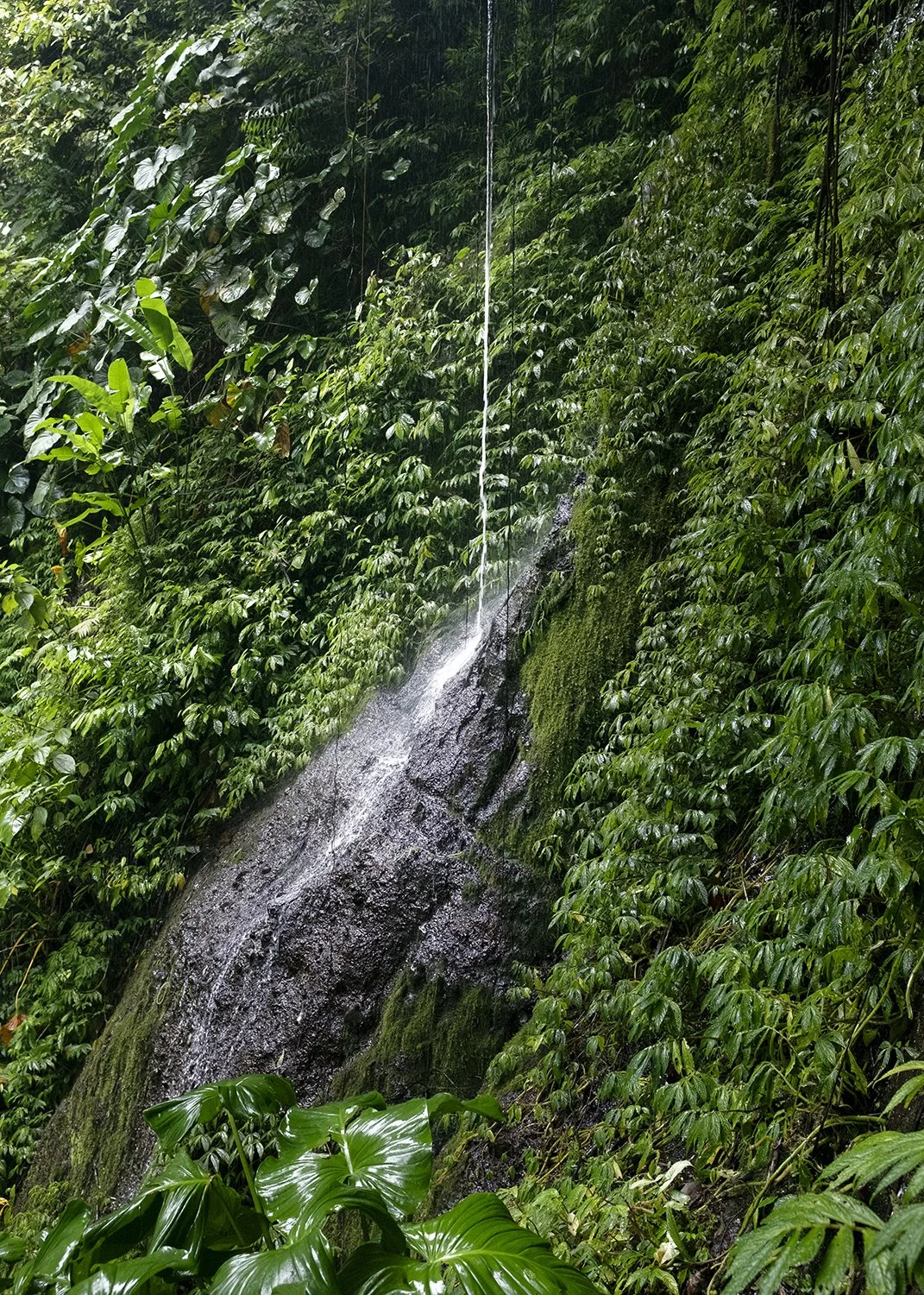 nature, landscape, water, photography, art, ecosystem