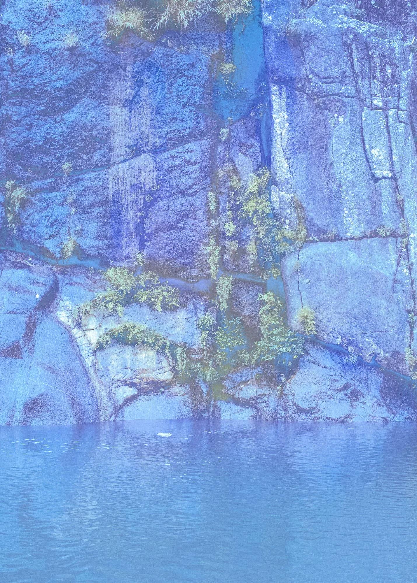 Atmos Magazine, water, Bodhi Shola, nature, culture, photography, art