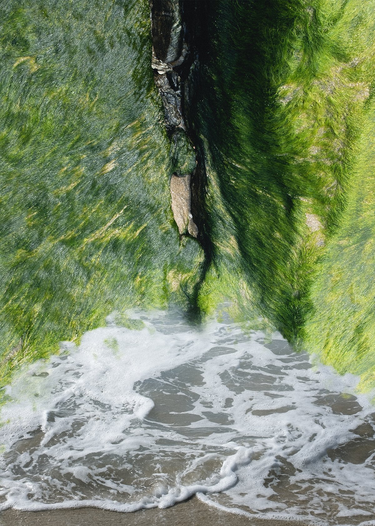 fine art, photography, nature, water, bodhi shola