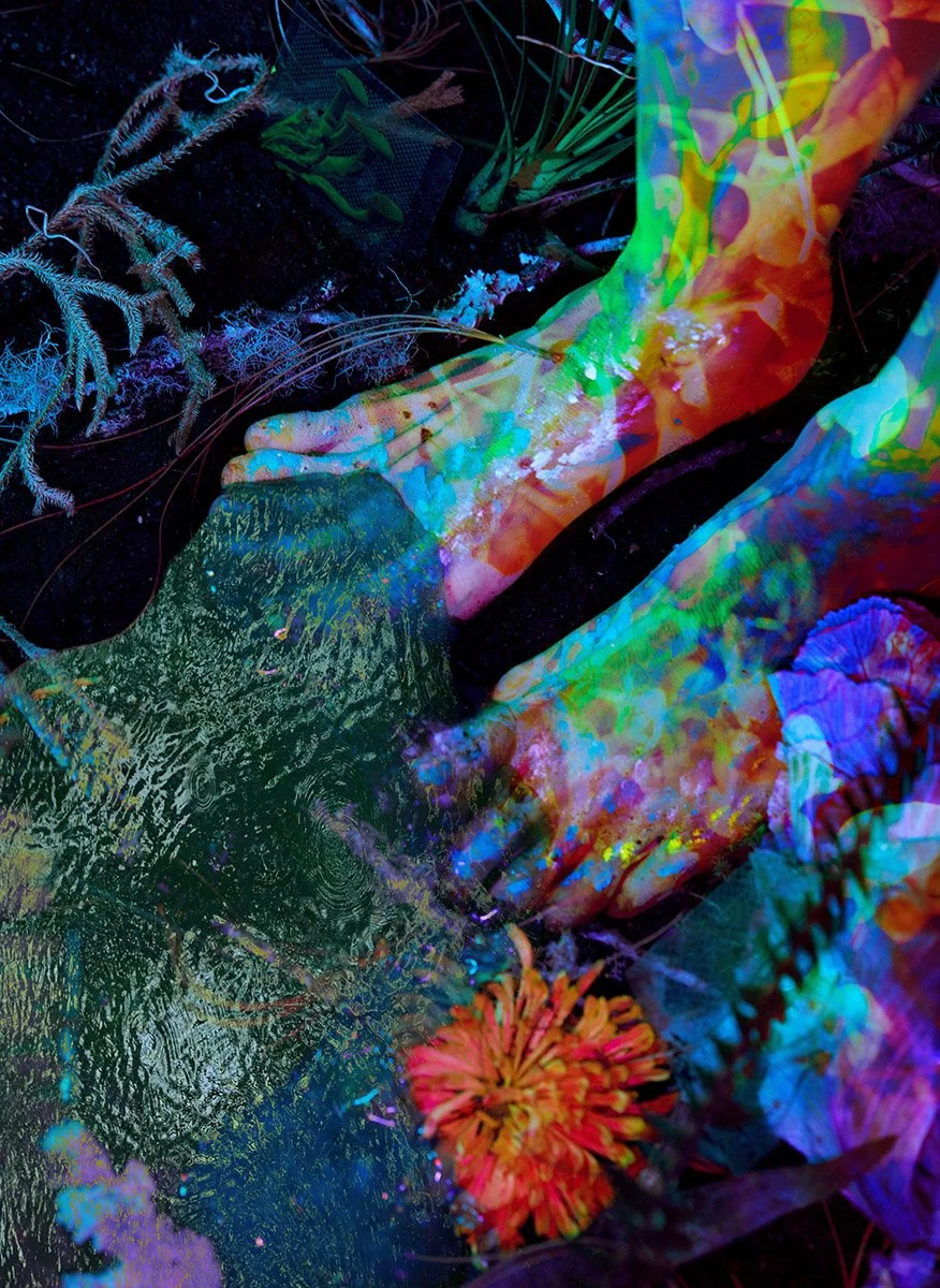 Atmos Magazine, Bodhi Shola, fungi, psychedelics, mexico, ecology, culture, photography, art