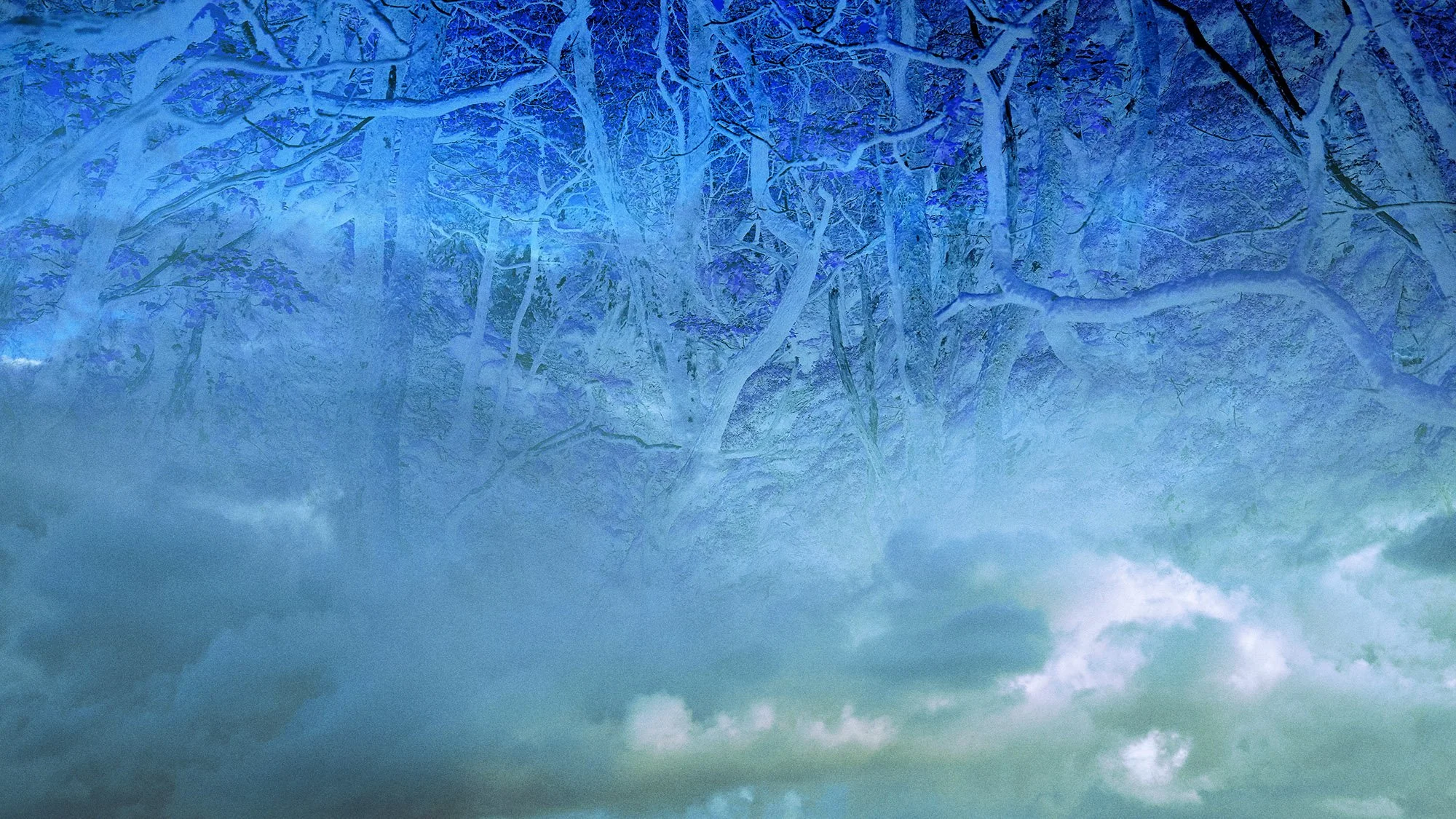 Bodhi Shola, Landscape, photography, nature, mexico, blue