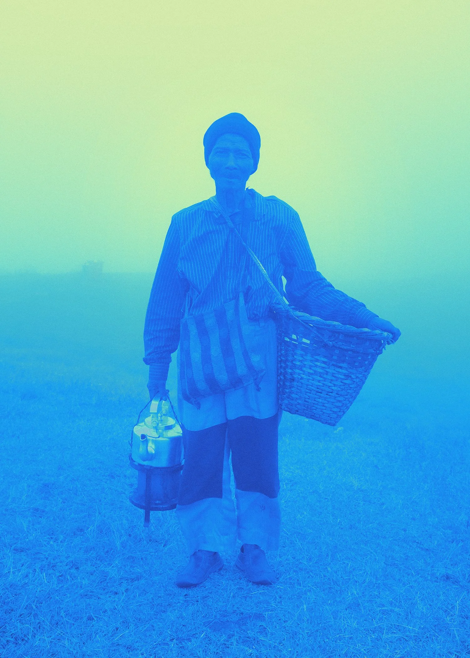 Bodhi Shola, india, travel, nature, ecosystem, portrait, culture, photography, art