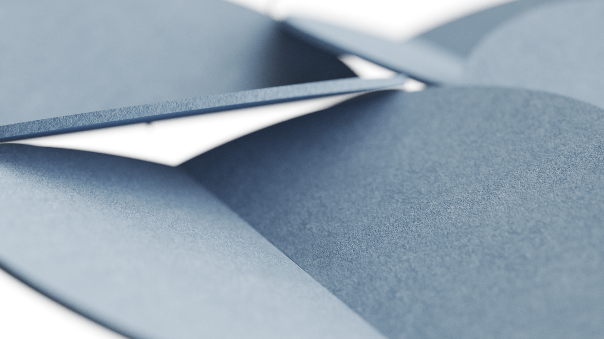 Armand_Petals_Renderings (1).png