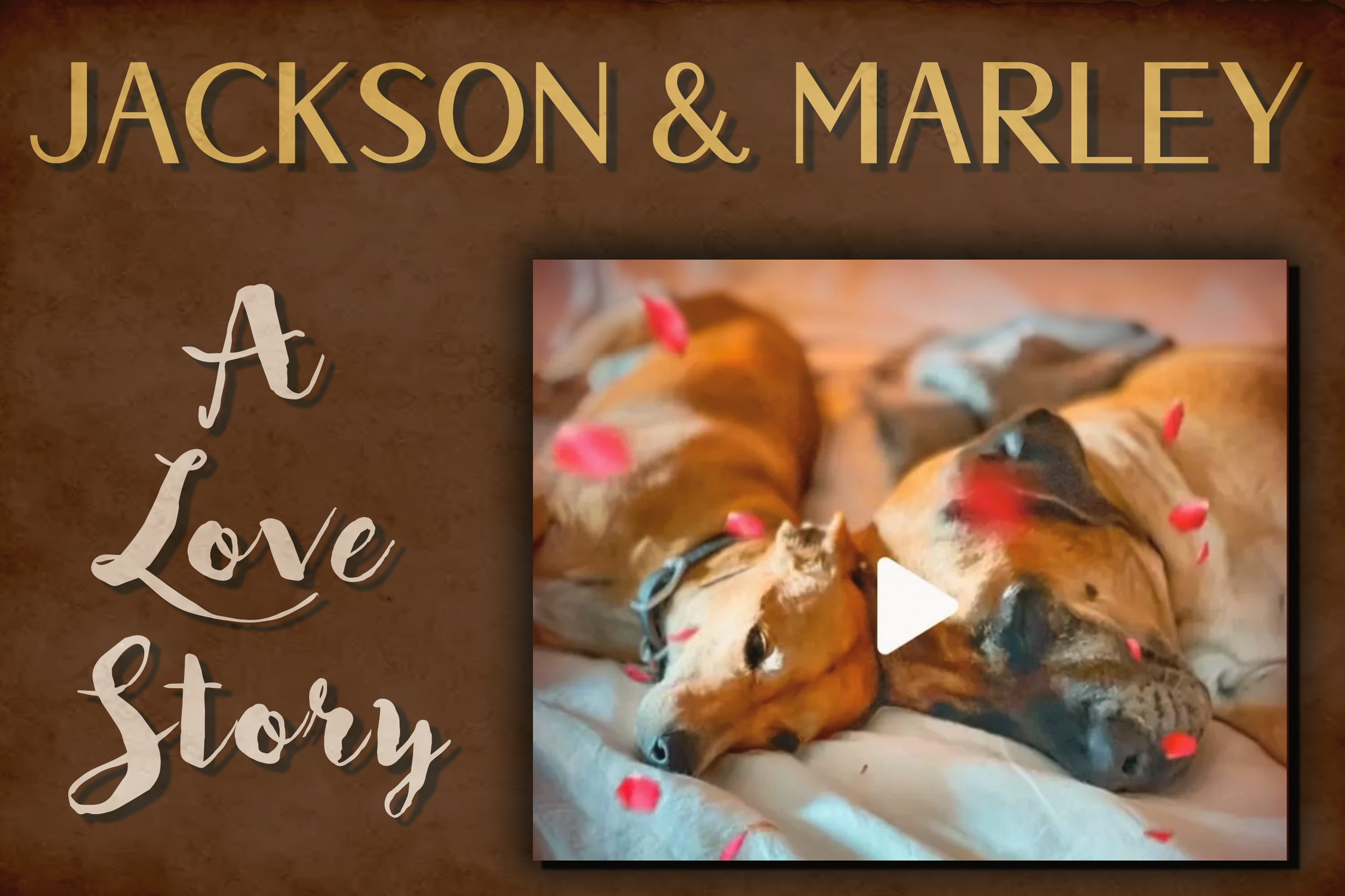 JACKSON &amp; MARLEY