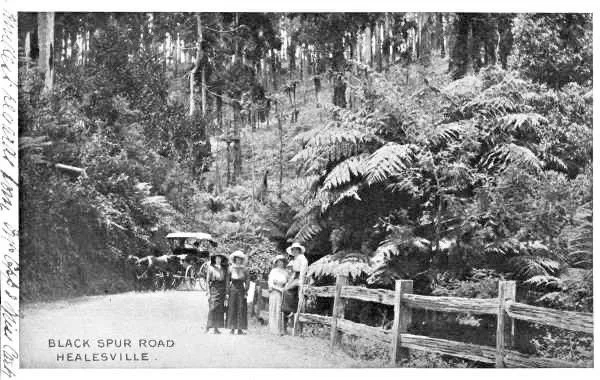 The Black Spur has been a favourite among travellers and tourists since the early 1900's.