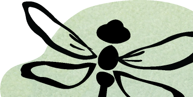 cropped image of a butterfly, handdrawn