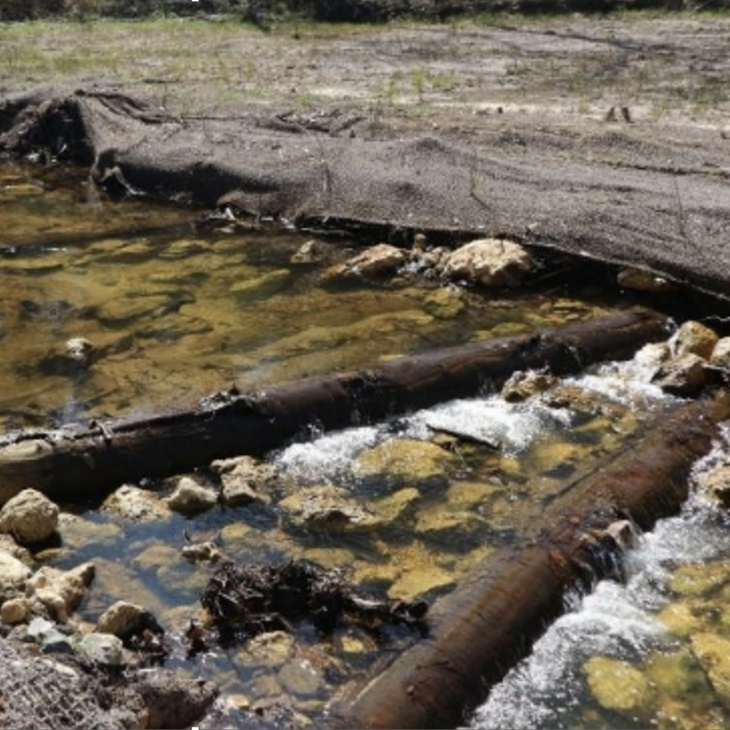 Figure 1: D’Olive Watershed Stream Restoration site where trees are used as restoration infrastructure. Photo: Anouk Fransen